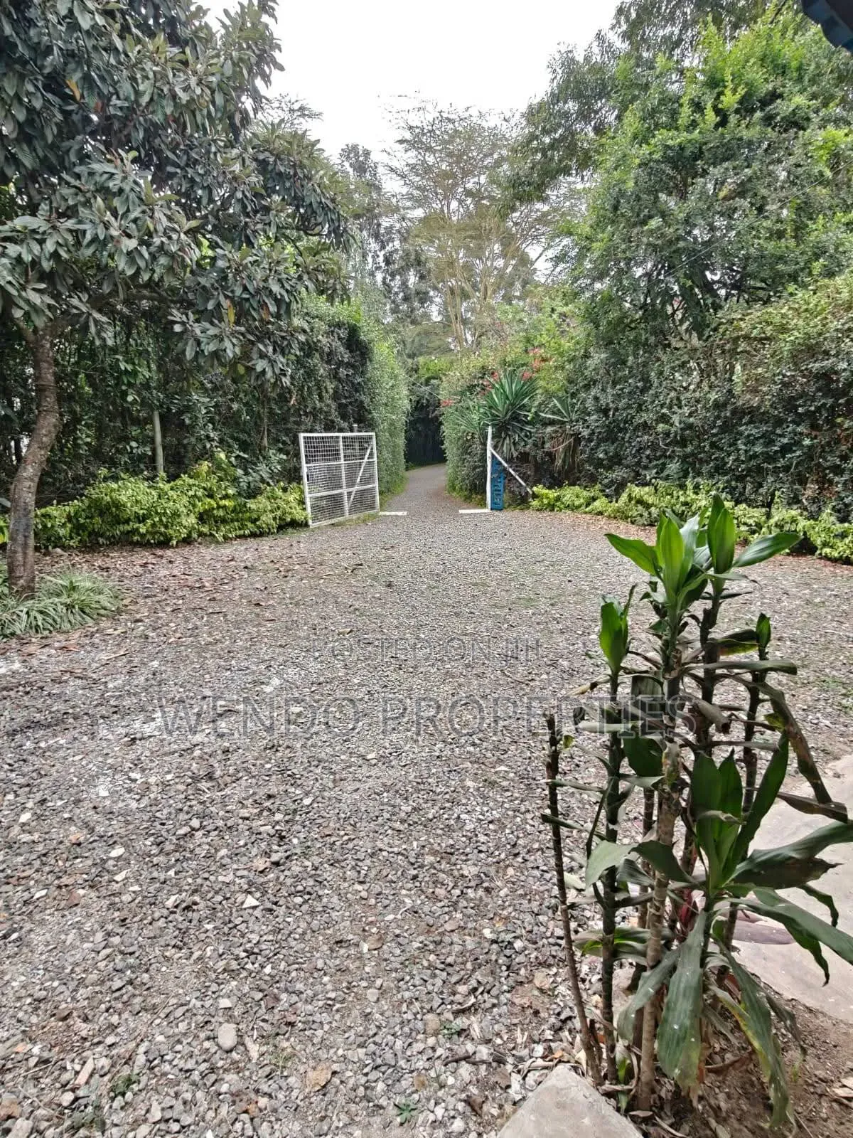 3bdrm Bungalow in Karen for rent