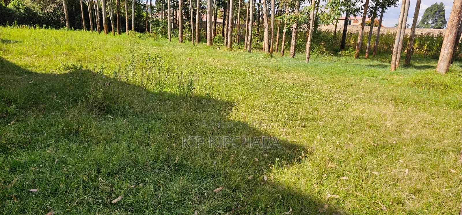 Commercial 1⁄4 Plot for Sale in Kimumu Eldoret