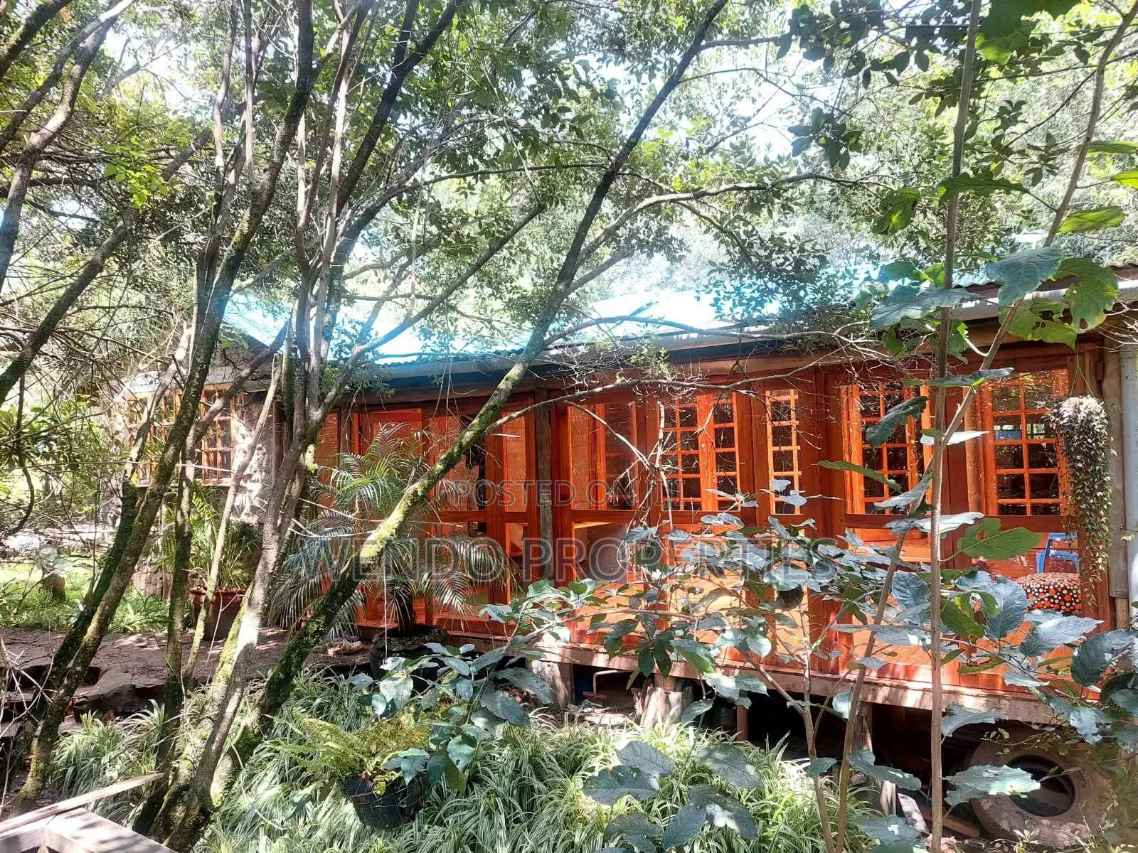 2bdrm Bungalow in Karen for rent