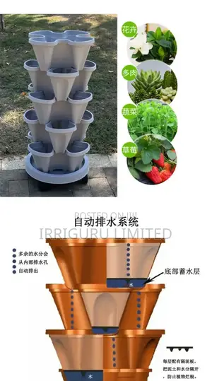 Kitchen Gardens