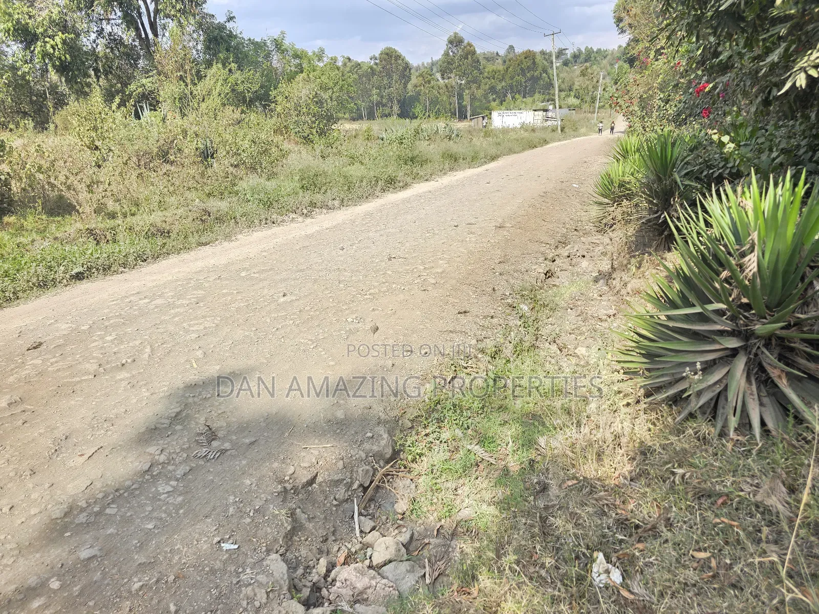 50 by 100 Pieces of Land in Matasia Memusi for Sale