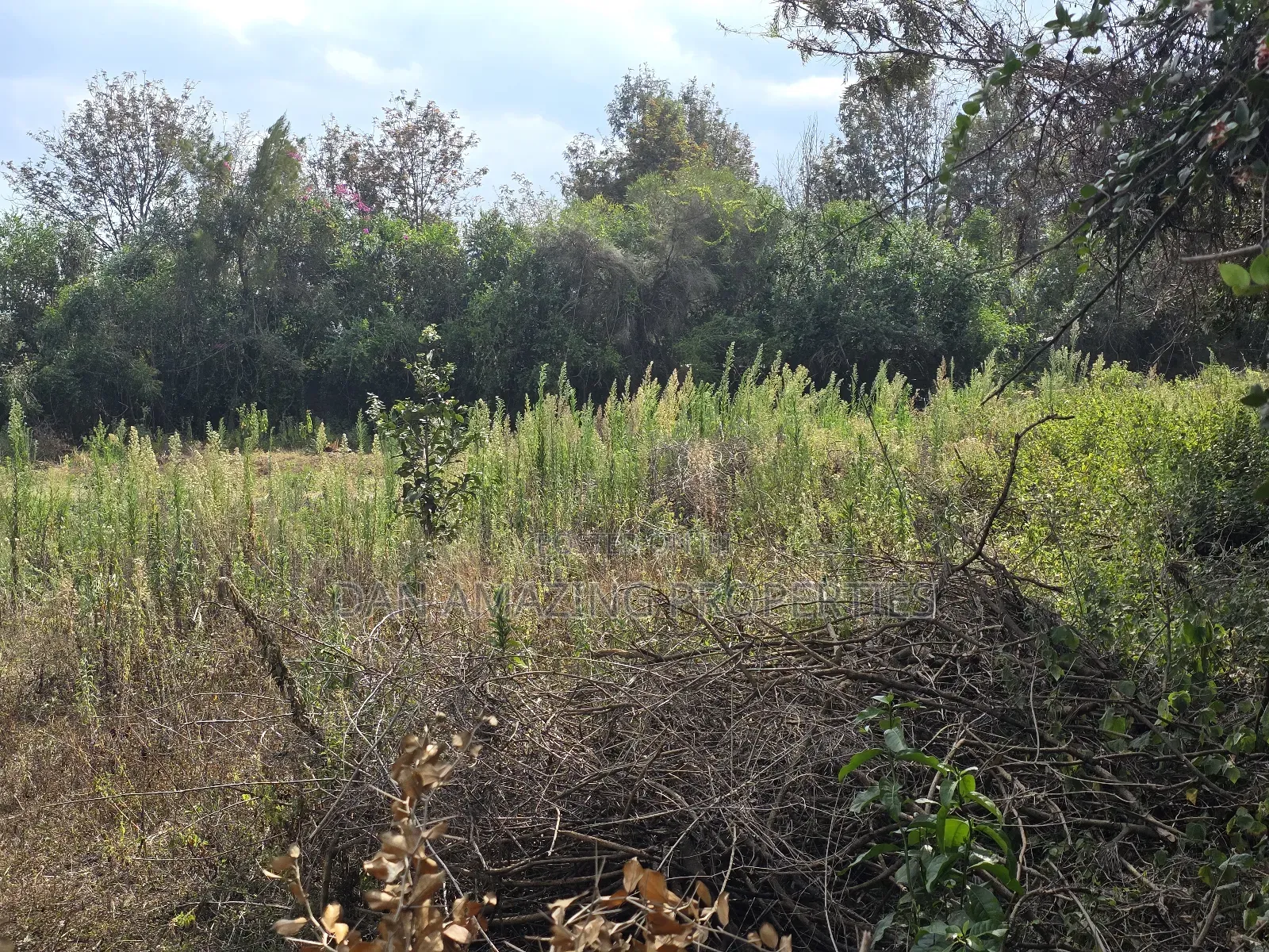 50 by 100 Pieces of Land in Matasia Memusi for Sale