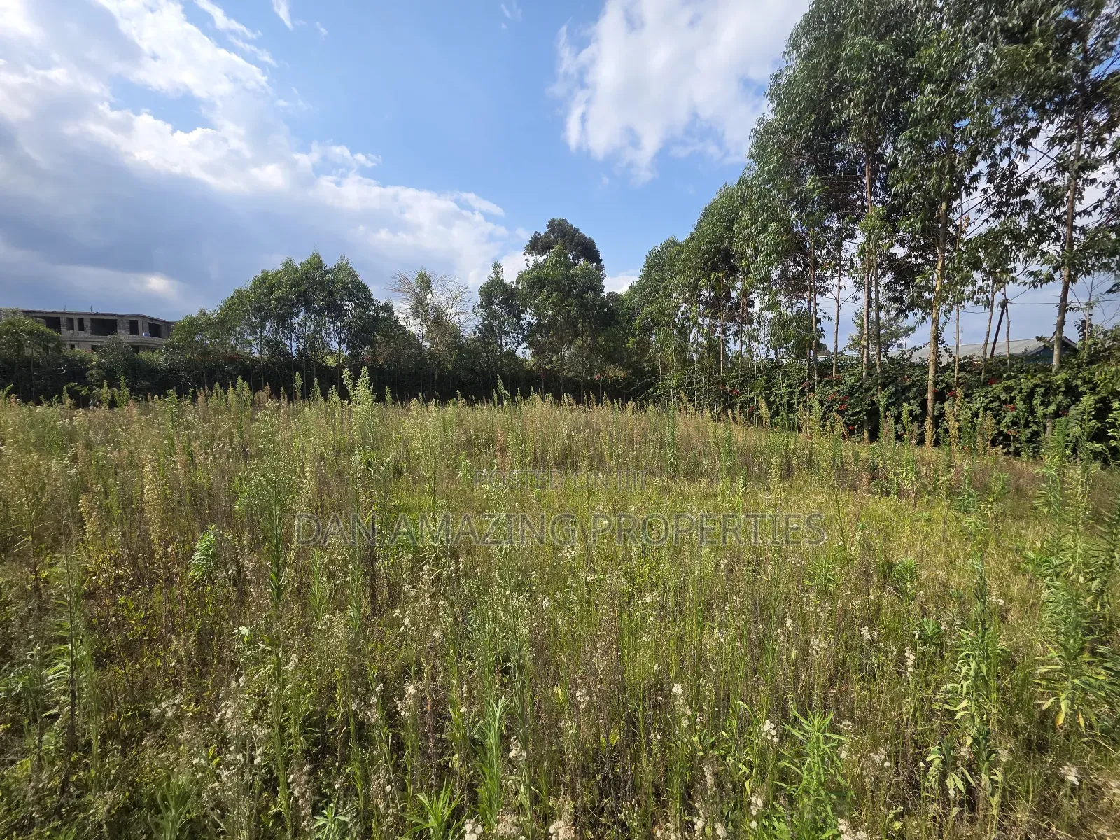 Half an Acre Land for Sale in Ngong Memusi Ideal for Residential
