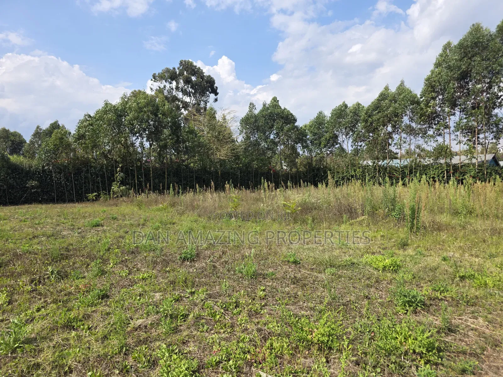 Quater Acre Memusi for Sale Ideal for Residential