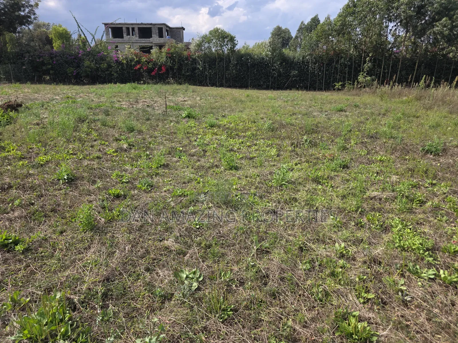 Quater Acre Memusi for Sale Ideal for Residential