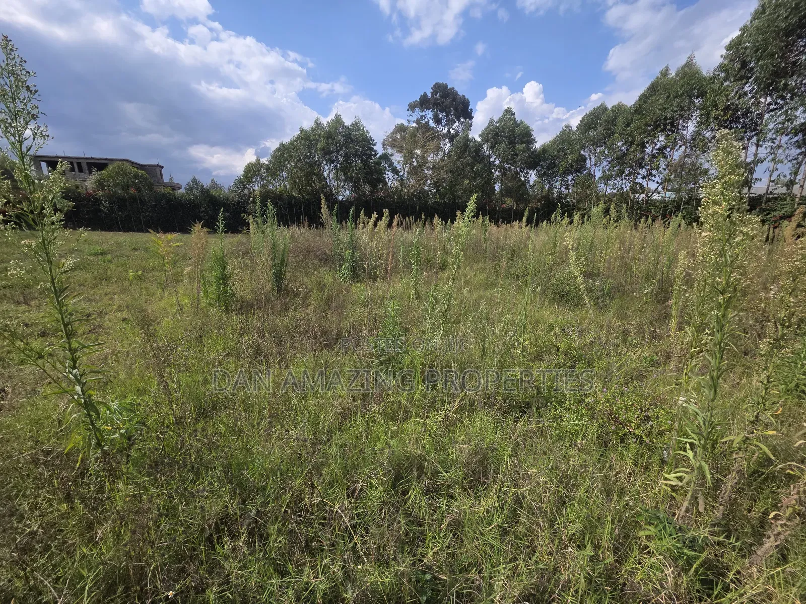 Quater Acre Memusi for Sale Ideal for Residential