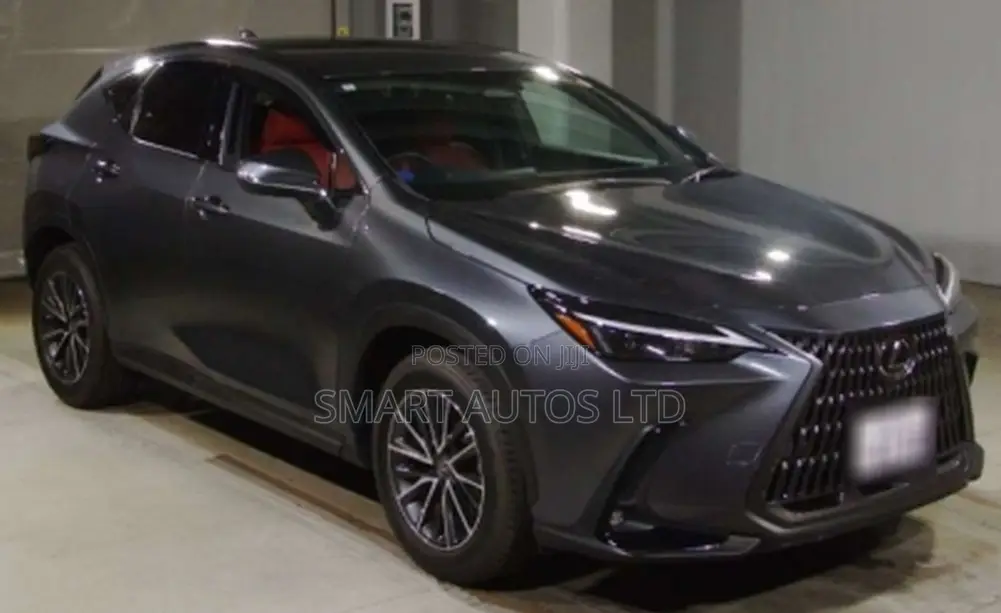 Lexus NX 2022