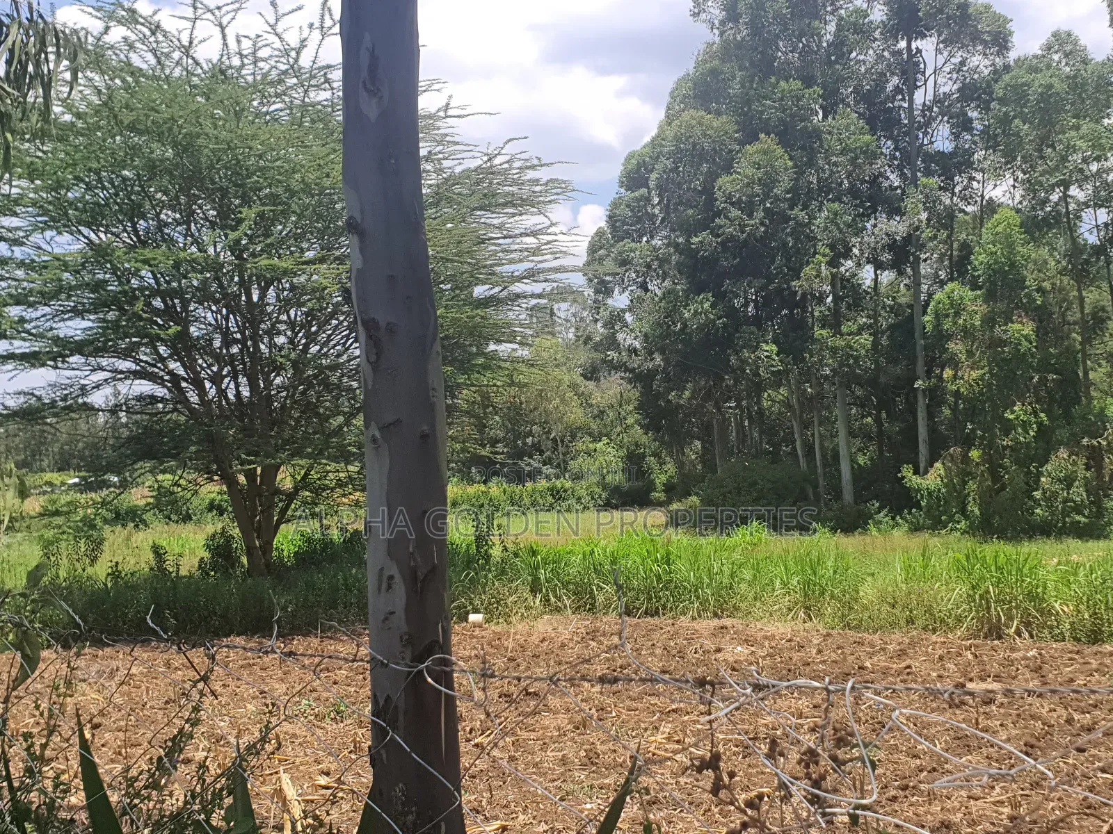 2 Acres in Nyariginu Fronting River