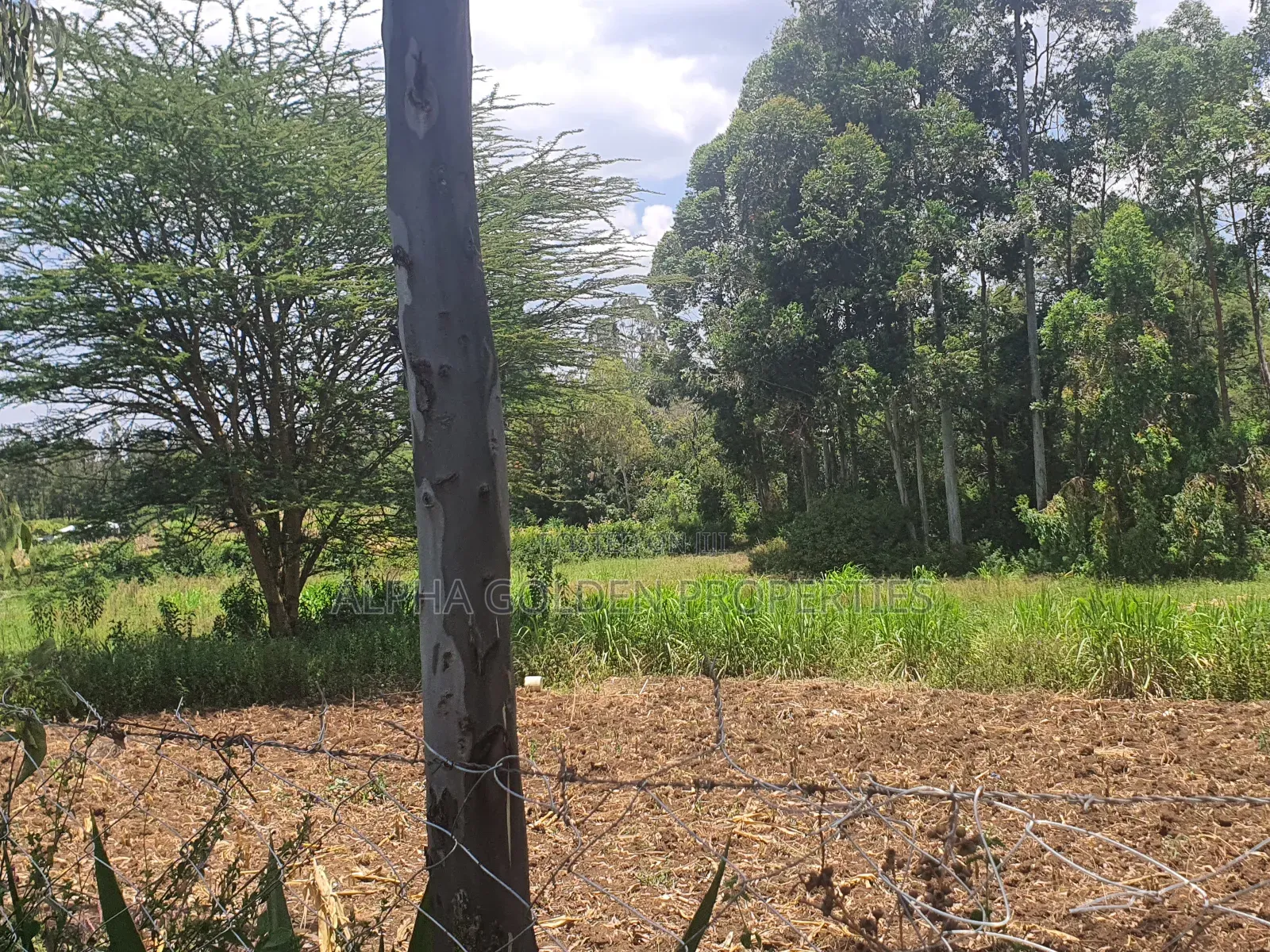 2 Acres in Nyariginu Fronting River