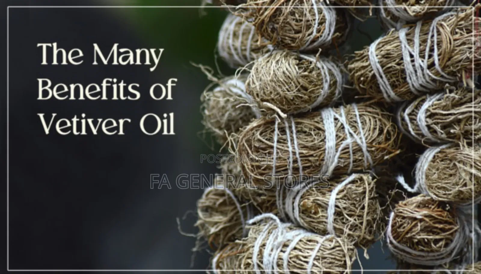 Vetiver Oil