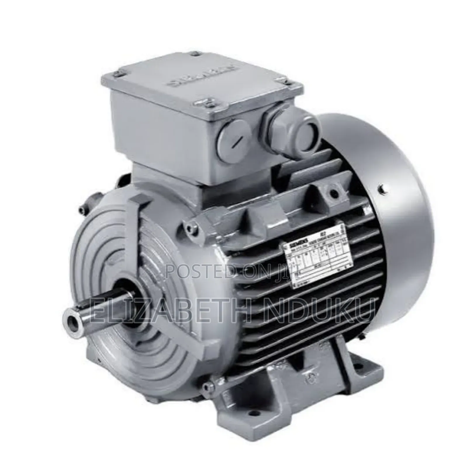 Heavy Duty Electric Motor Pump