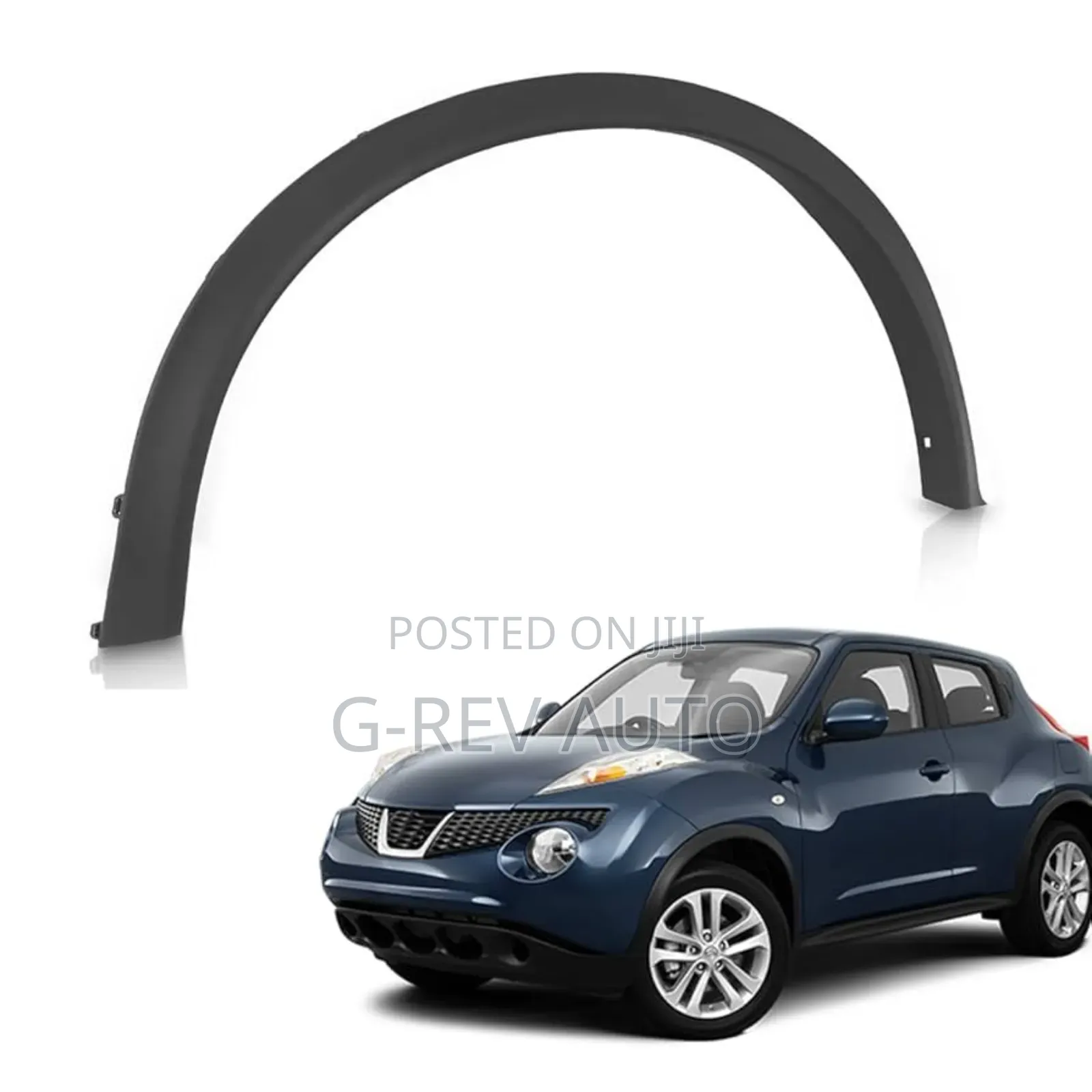 Nissan Juke Door Moulding Fender
