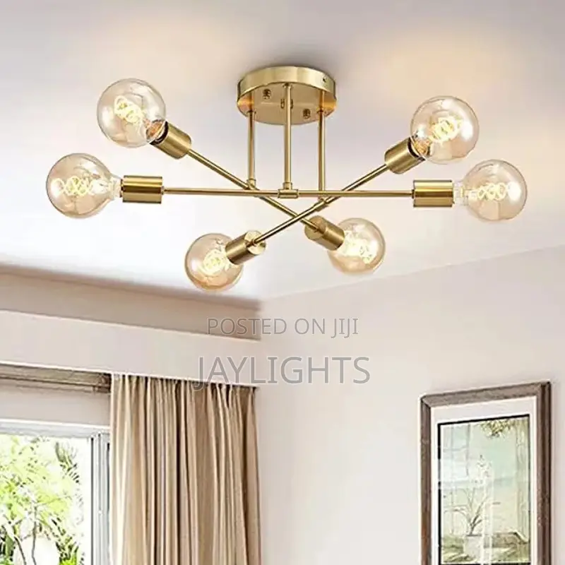 Cross-Border Ceiling Lamp Creative Multi-Head Living Room