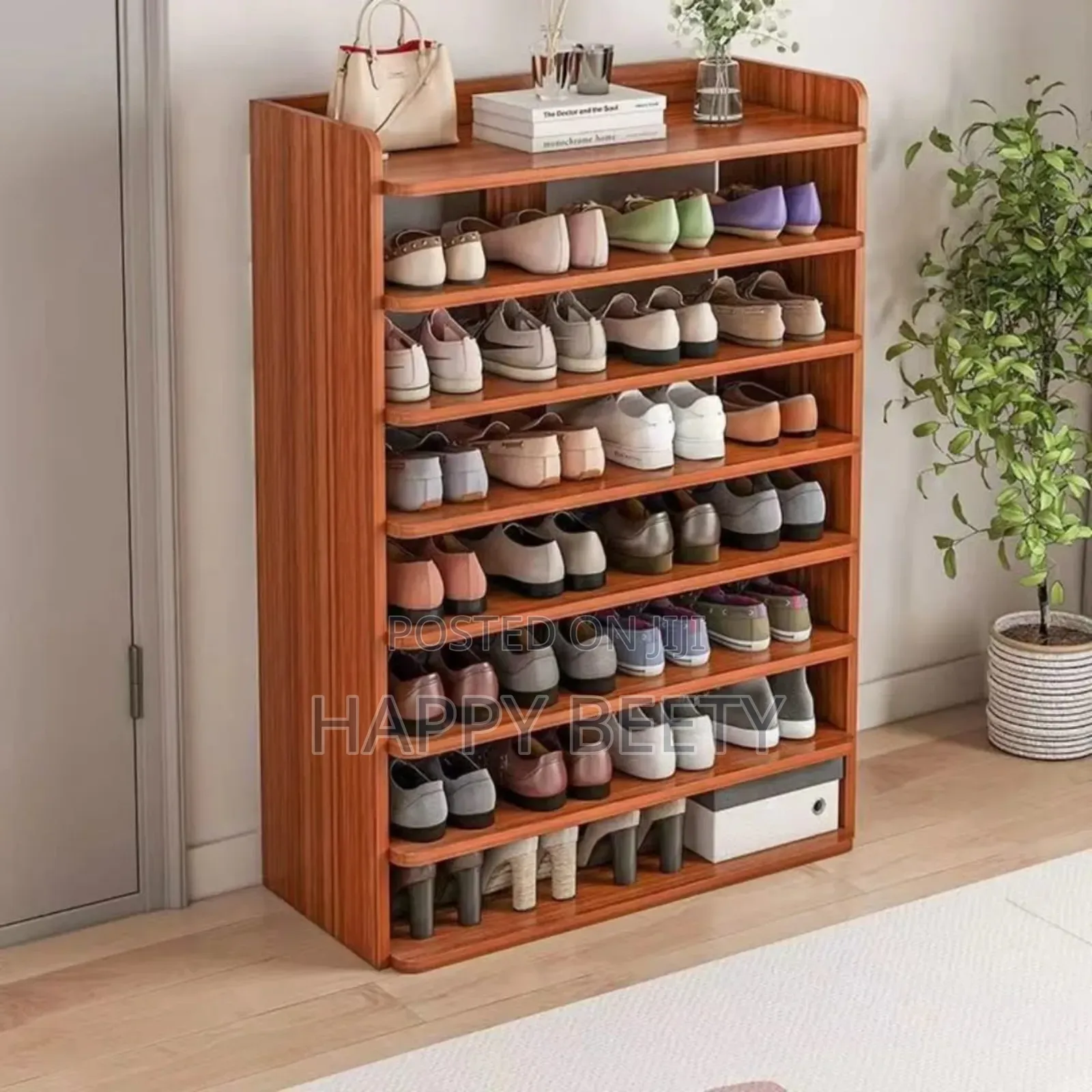 Modern Mult-Layer Shoe Rack