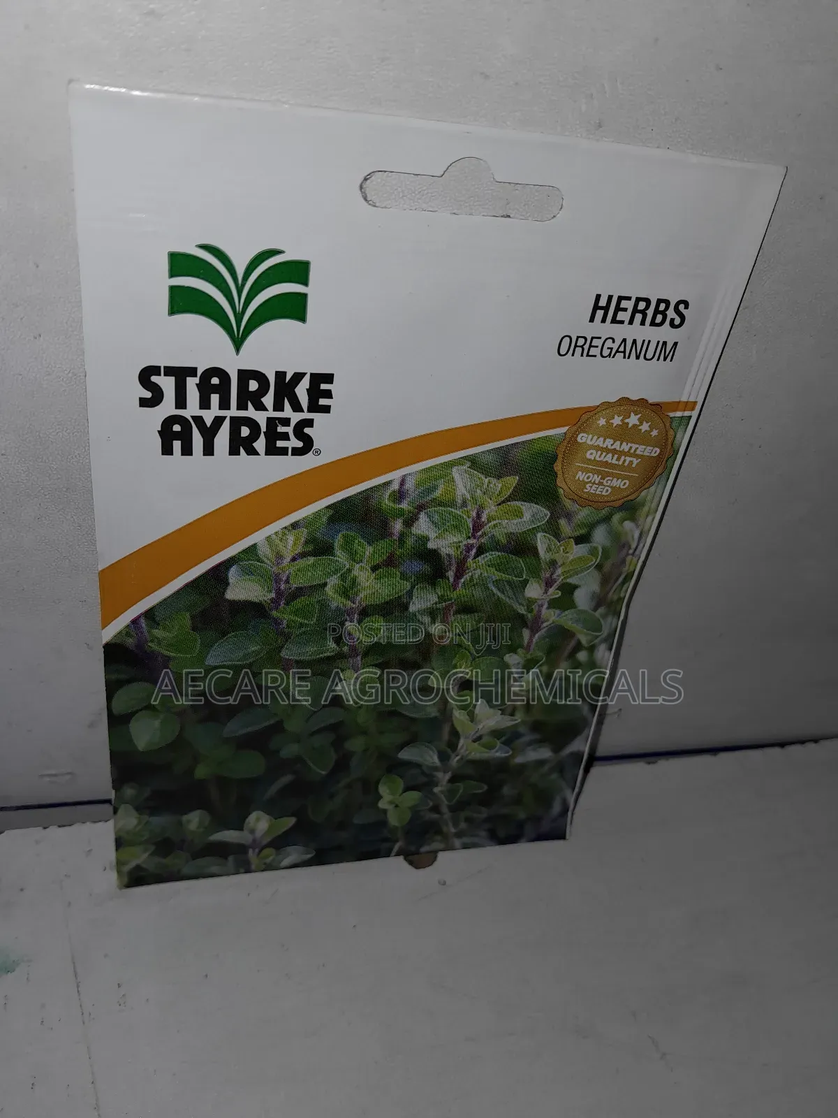 Oreganum Herb Seeds 0.25g (Stayke Ayres)