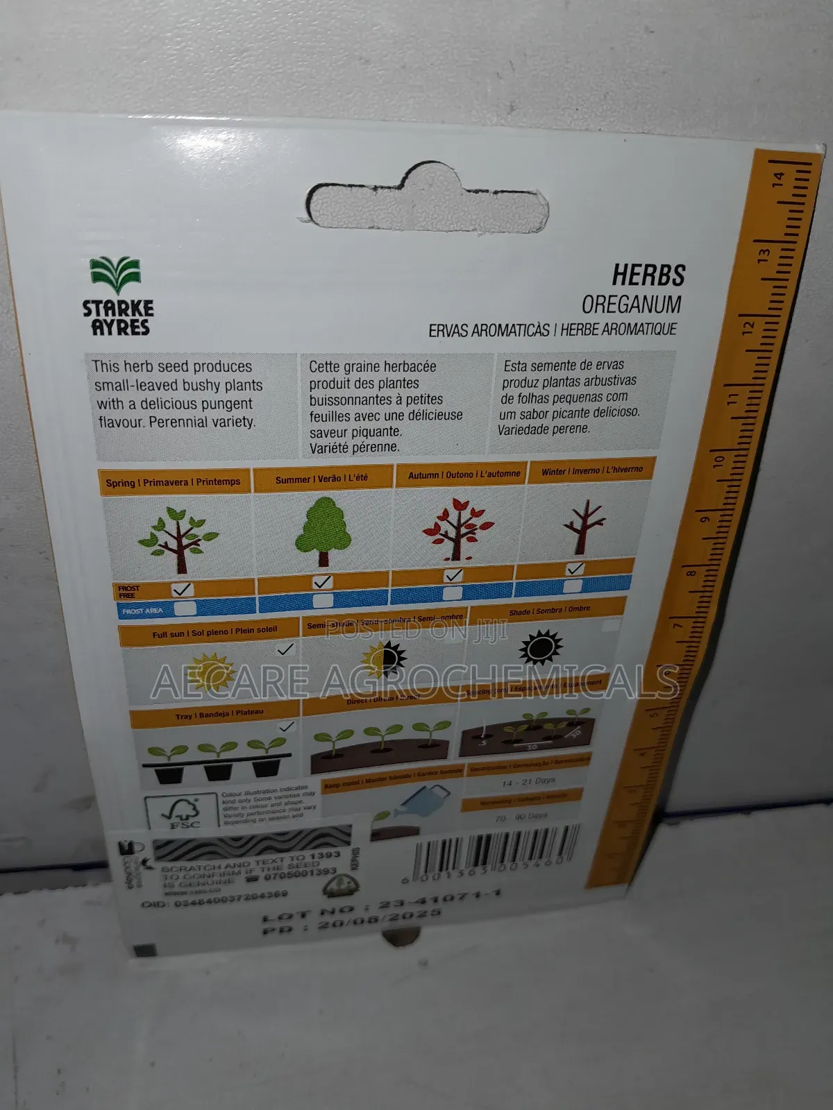Oreganum Herb Seeds 0.25g (Stayke Ayres)