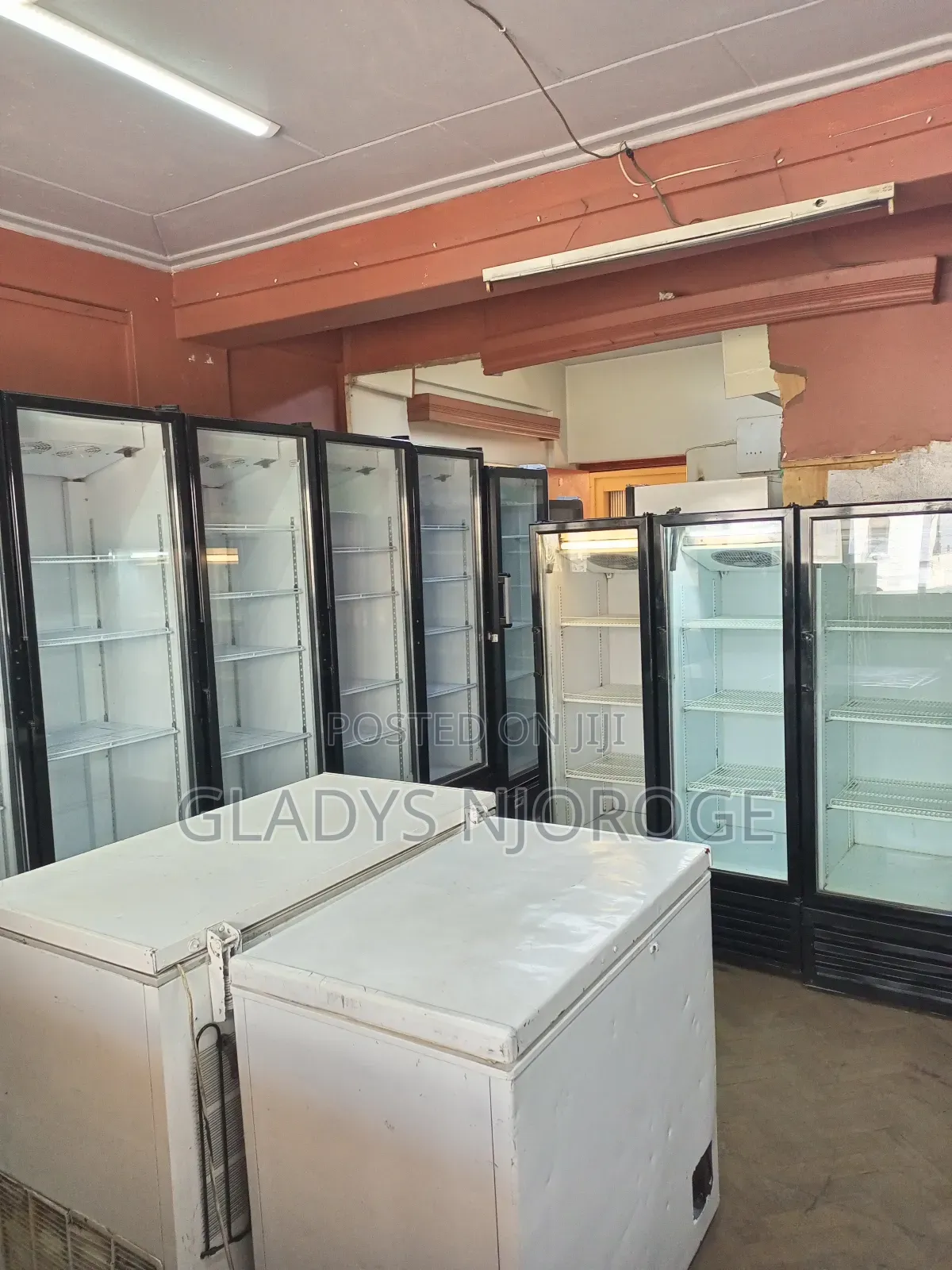 Perfect Available Chiller Deep Freezer