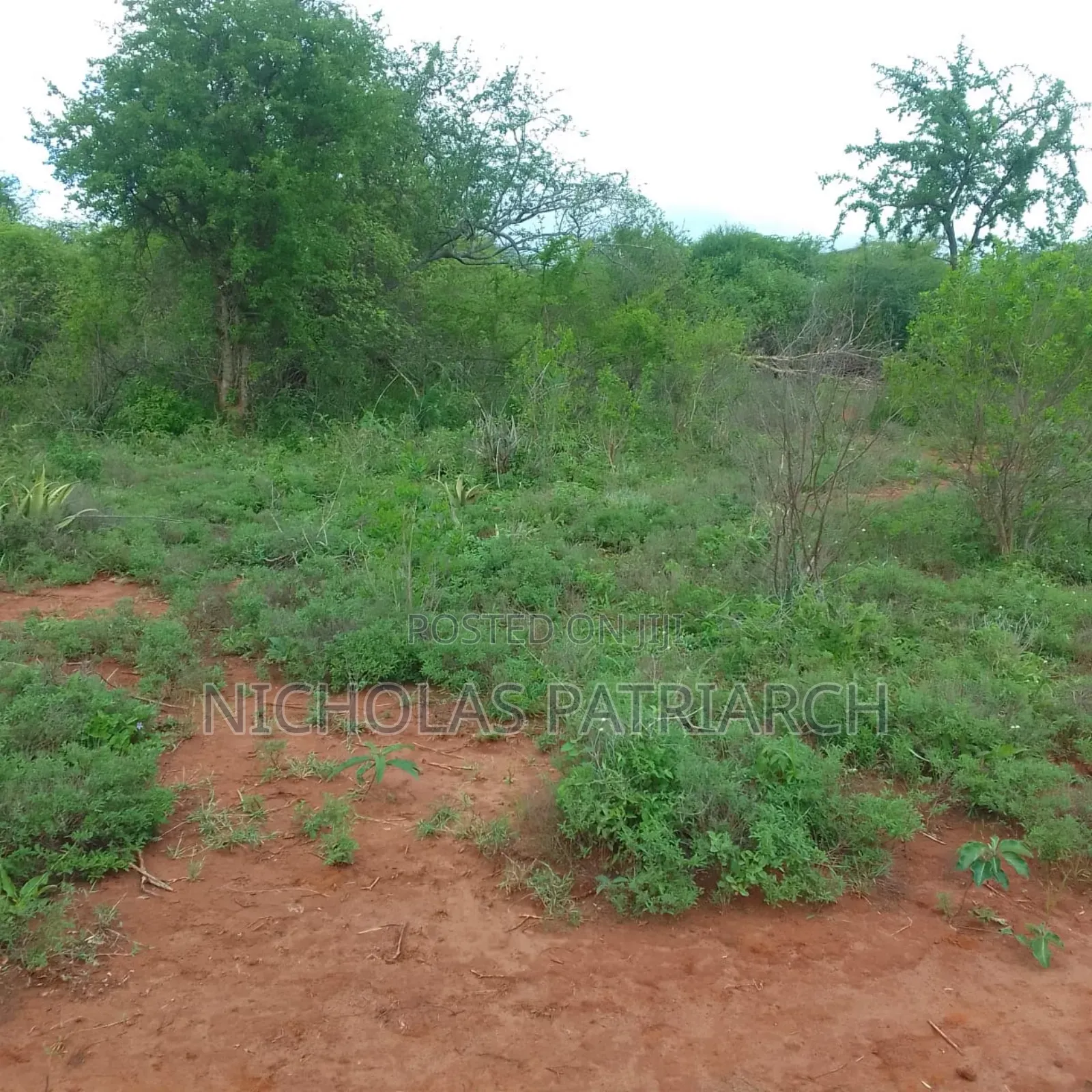 40 Acres at Kithimani Machakos Touching Yatta Farrow at 2.5m Per Acre