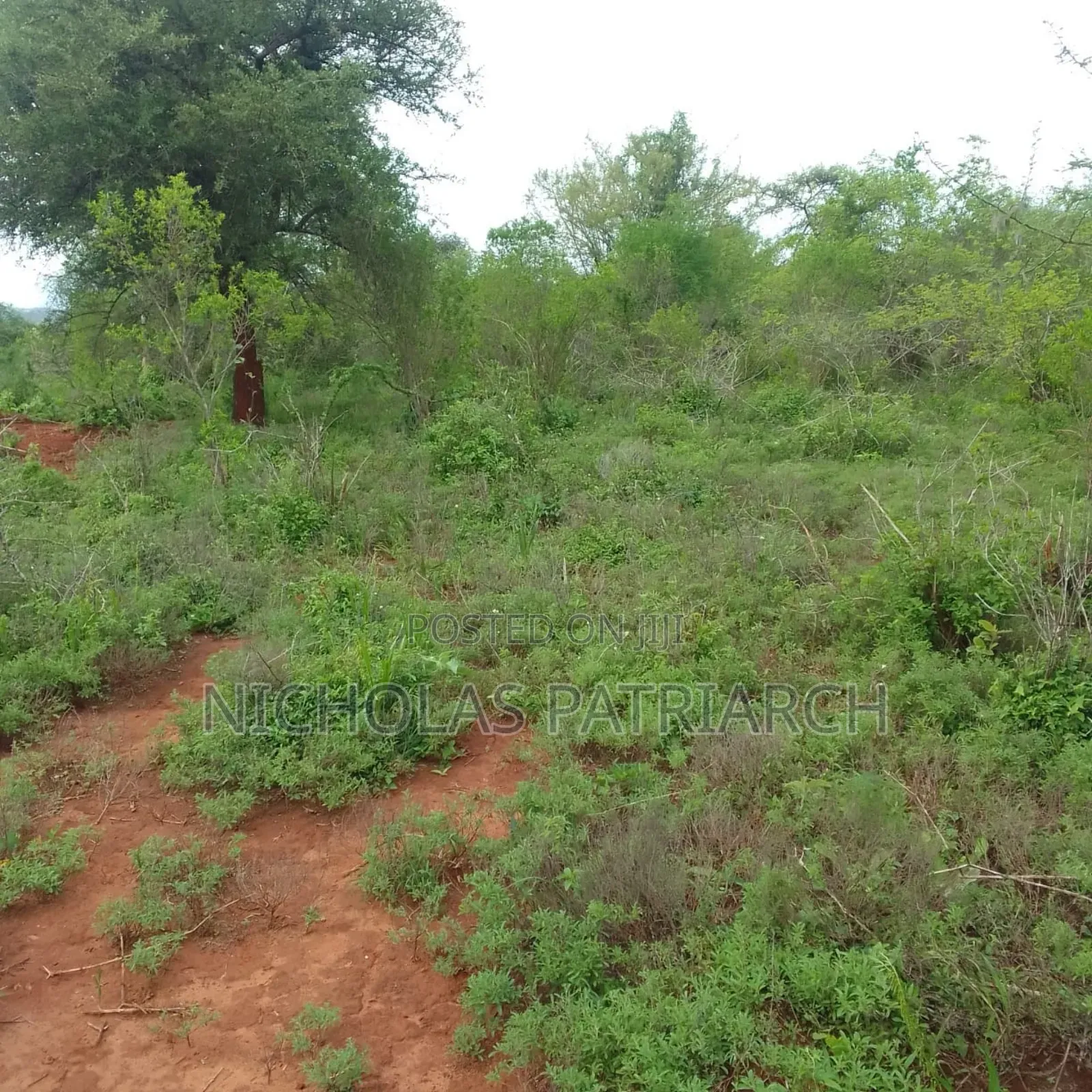 40 Acres at Kithimani Machakos Touching Yatta Farrow at 2.5m Per Acre