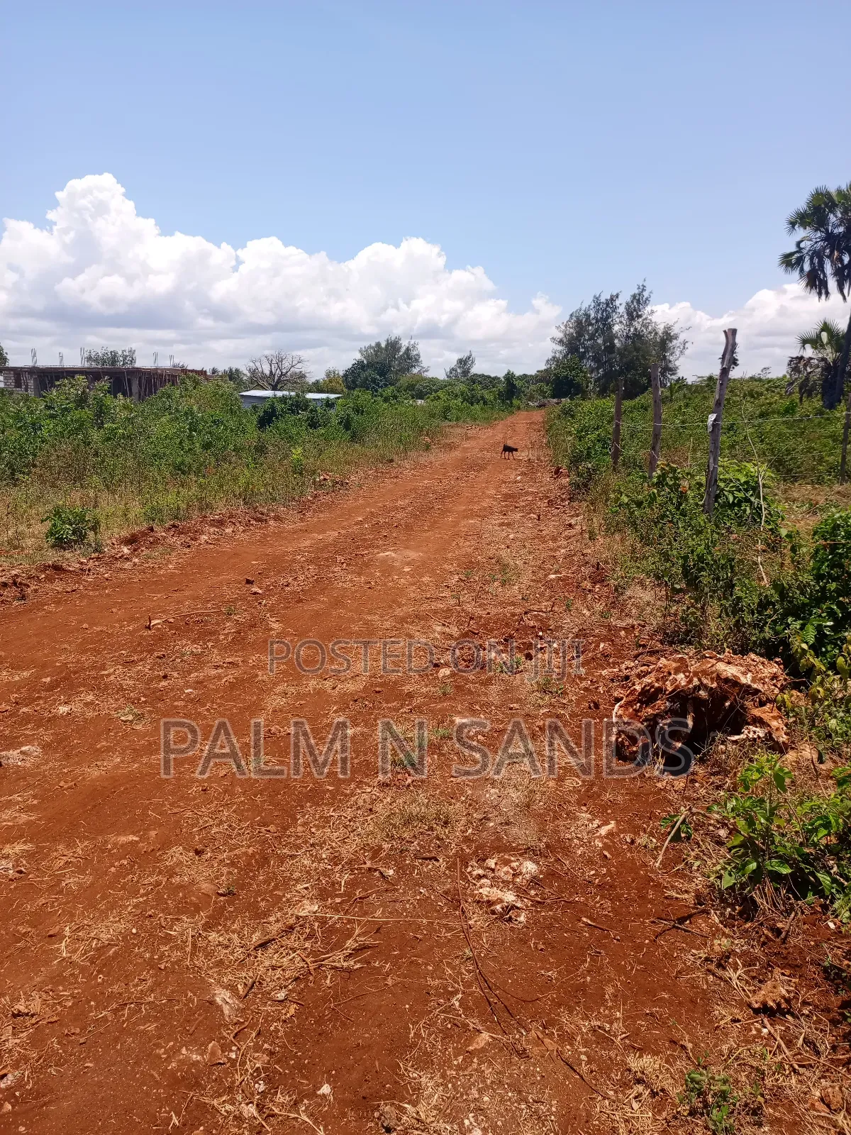 2.25 Acres Next to Pazurina Diani on Sale.L