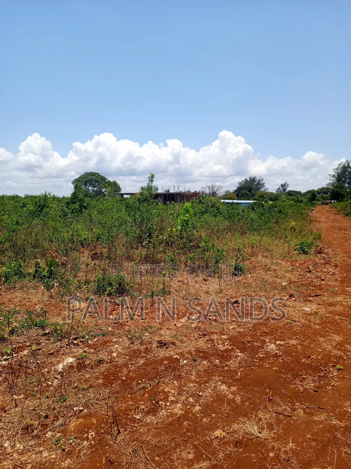 2.25 Acres Next to Pazurina Diani on Sale.L