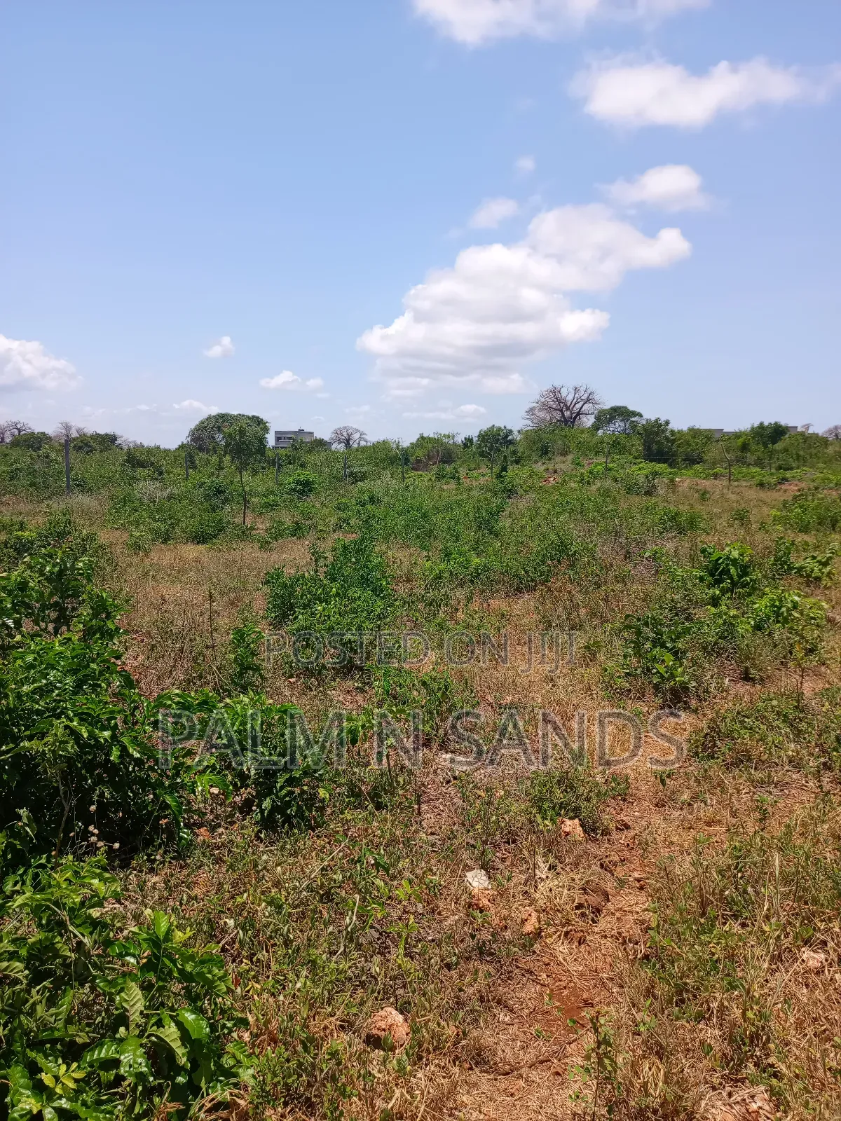 2.25 Acres Next to Pazurina Diani on Sale.L