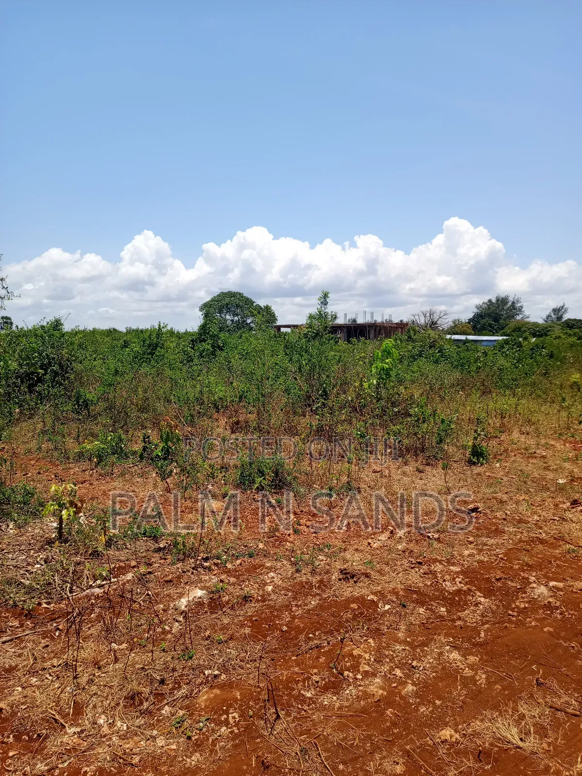 2.25 Acres Next to Pazurina Diani on Sale.L