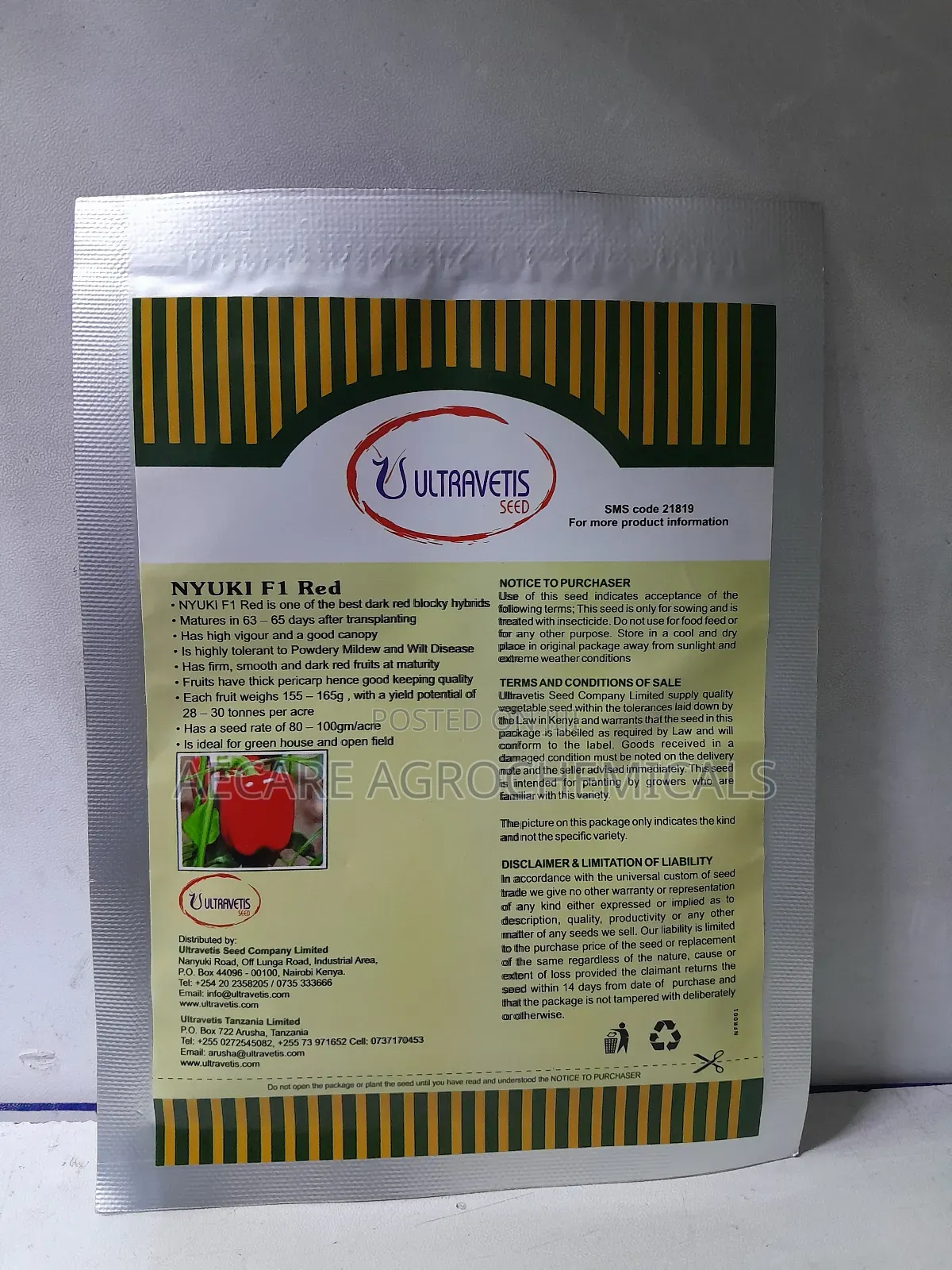 Nyuki F1 Red Capsicum 10 Grams