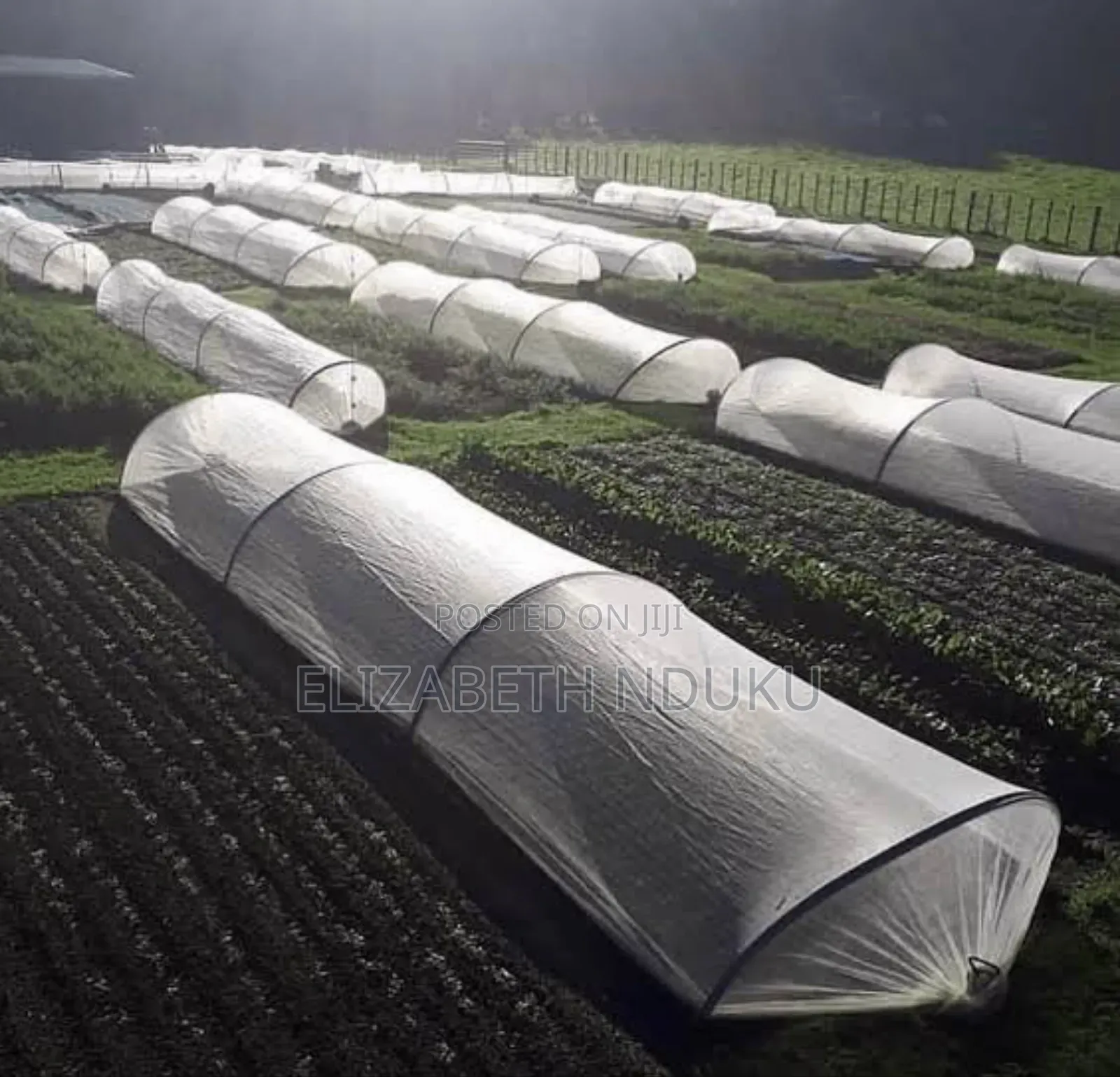 Agricultural Greenhouse Insect Net 50m