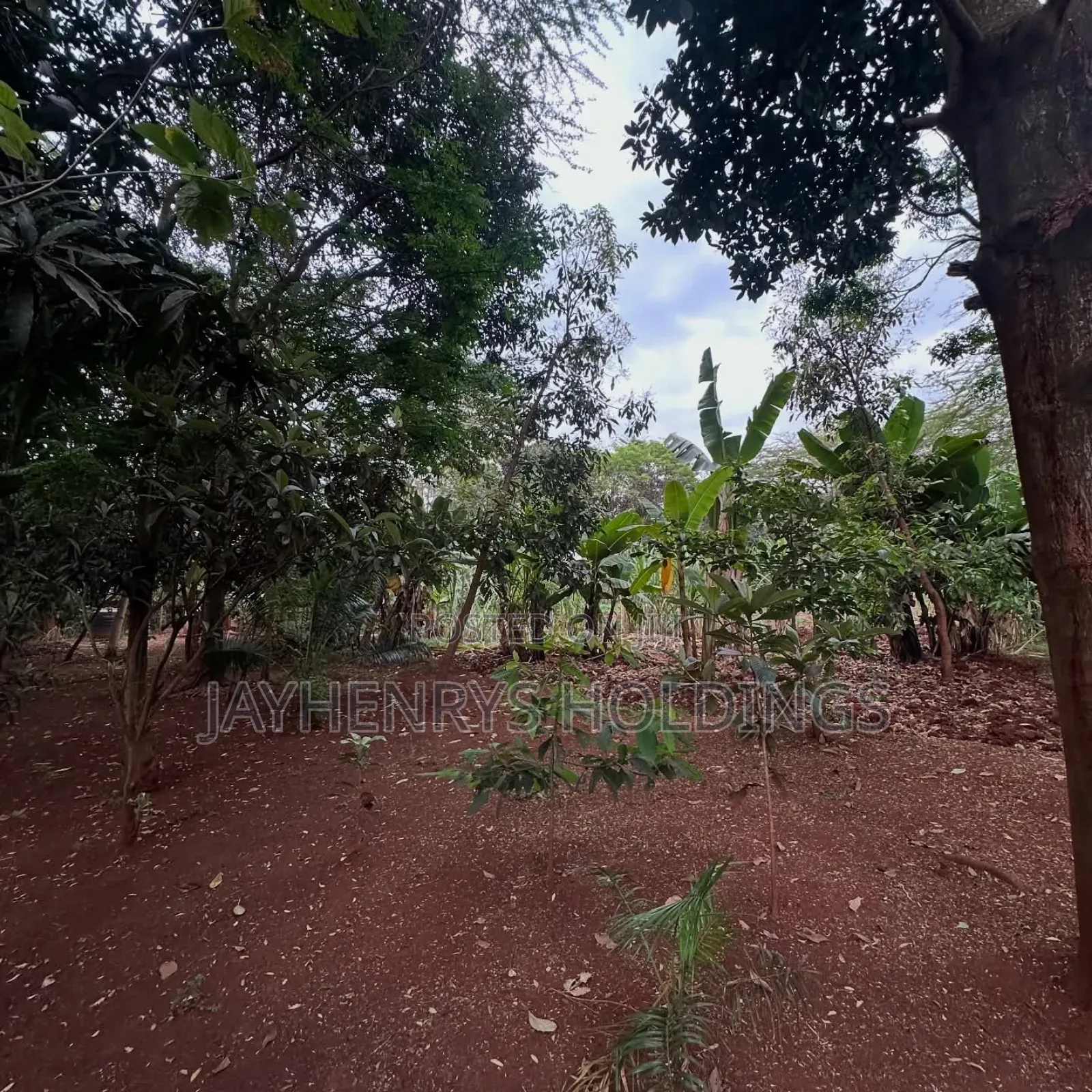 Half Acre Plot for Sale in Njathaini Road,Off Kiambu Rd at Kes 30m