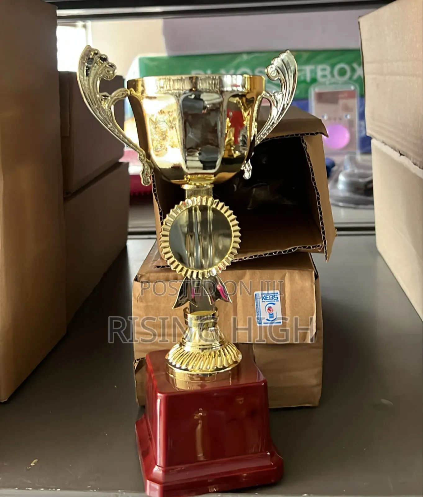 Customized Award Trophies – Durable Build