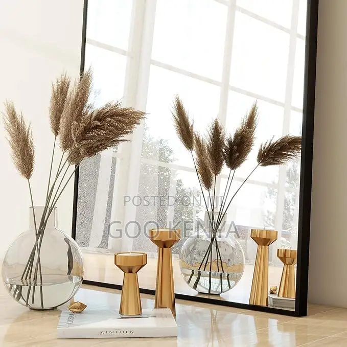 Home Mirror; Luxury Full-Length Dressing Mirror for Home Use