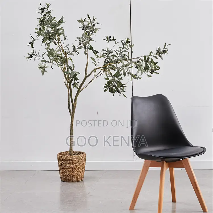 Home Dining Chair; Plastic Eames Chair With Cushion With Wood Base