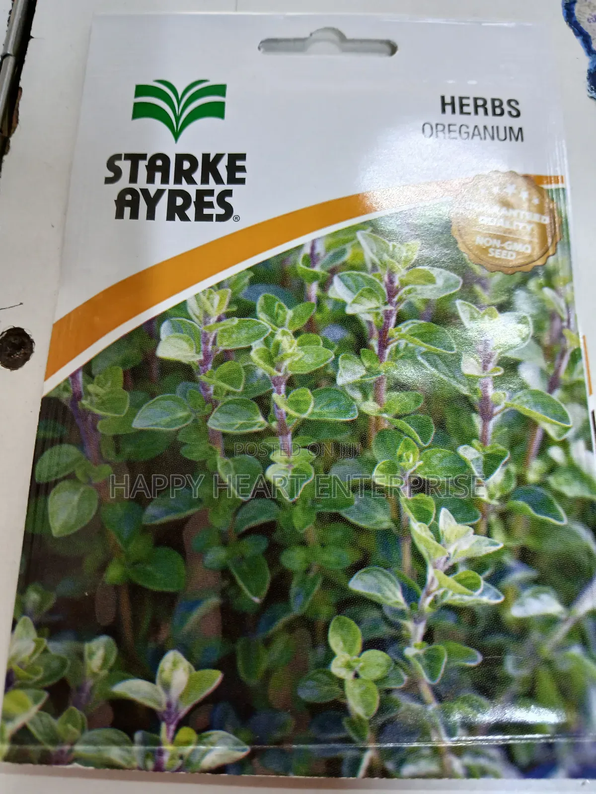Oreganum Herbs Seed 1g(Oregano)