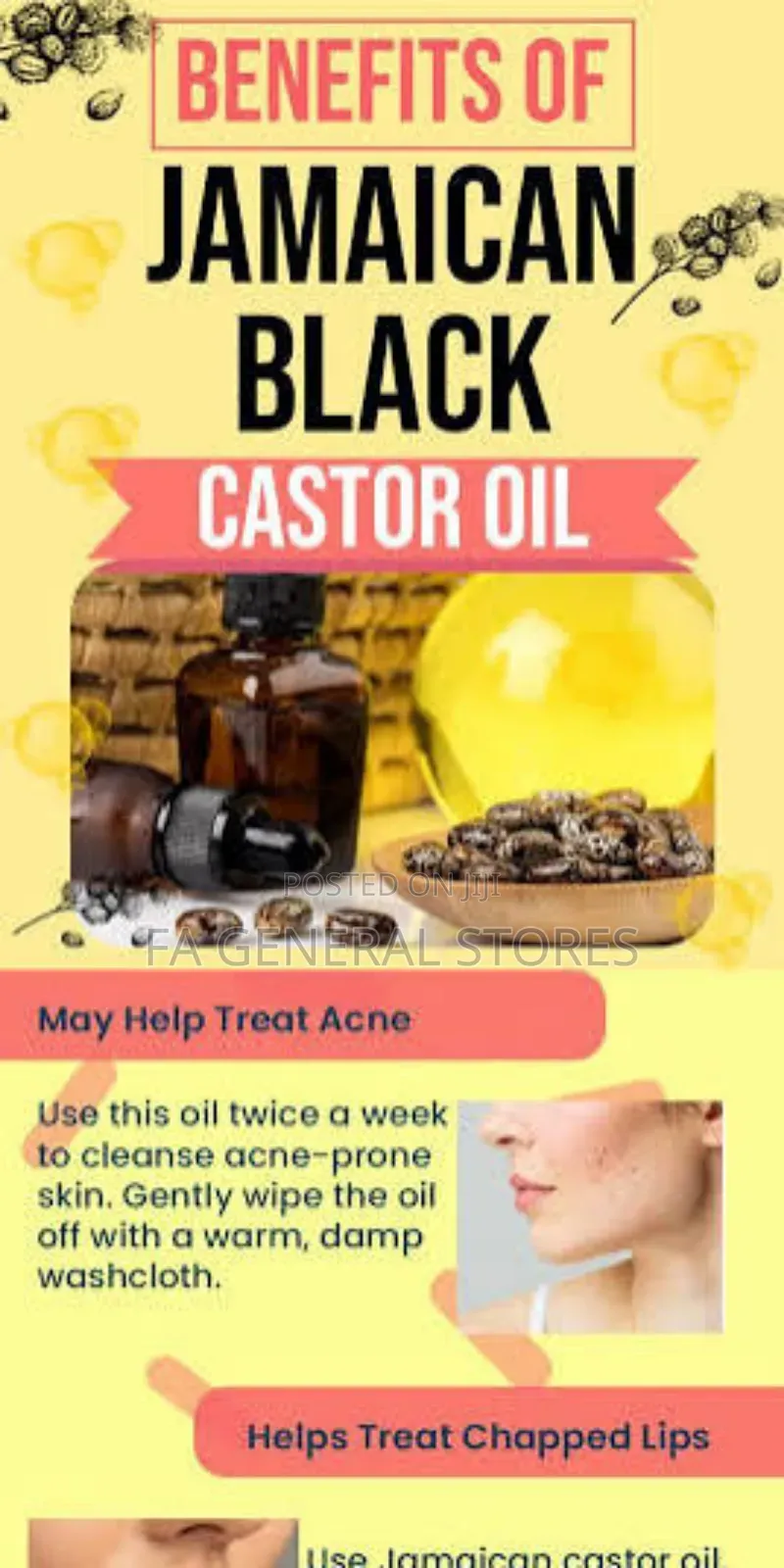 Black Castor
