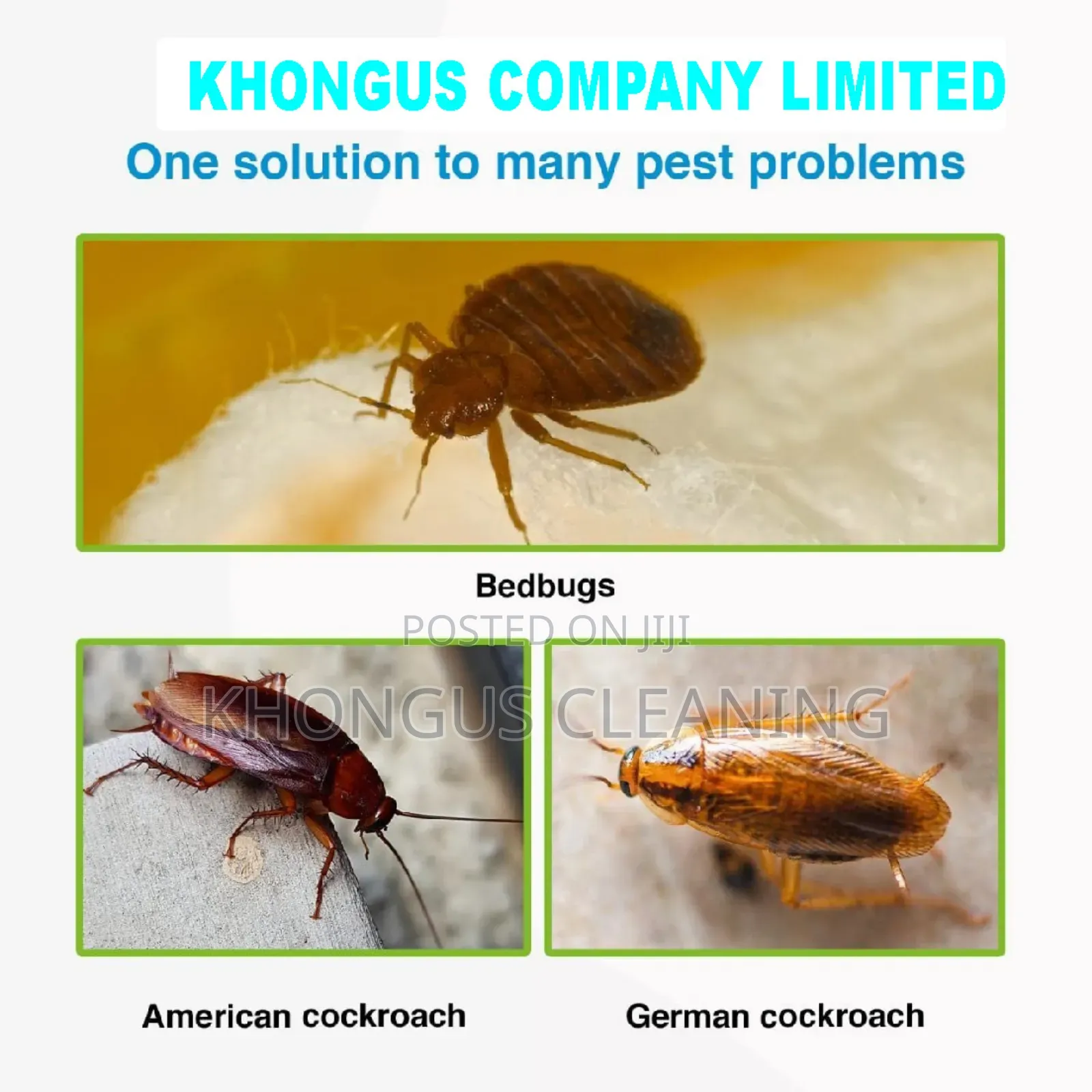 Fumigation Services Nakuru