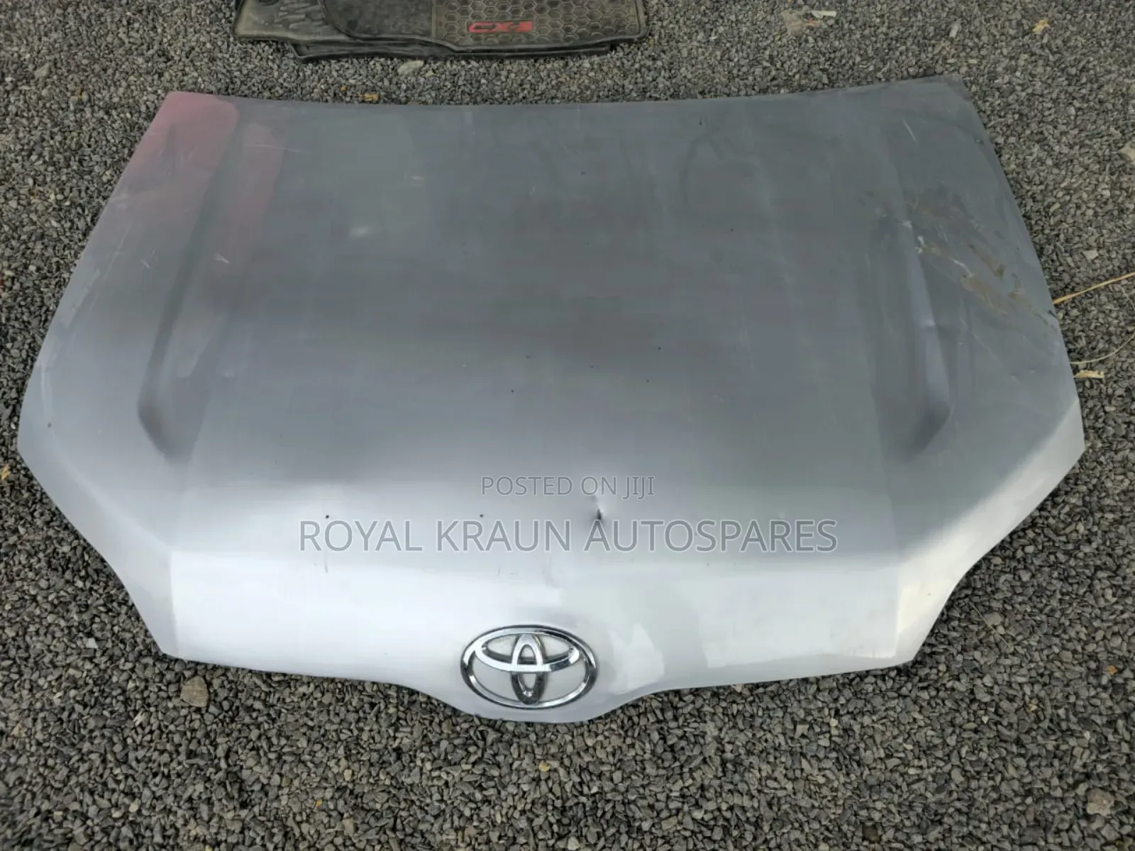 Probox Bonnet New Model