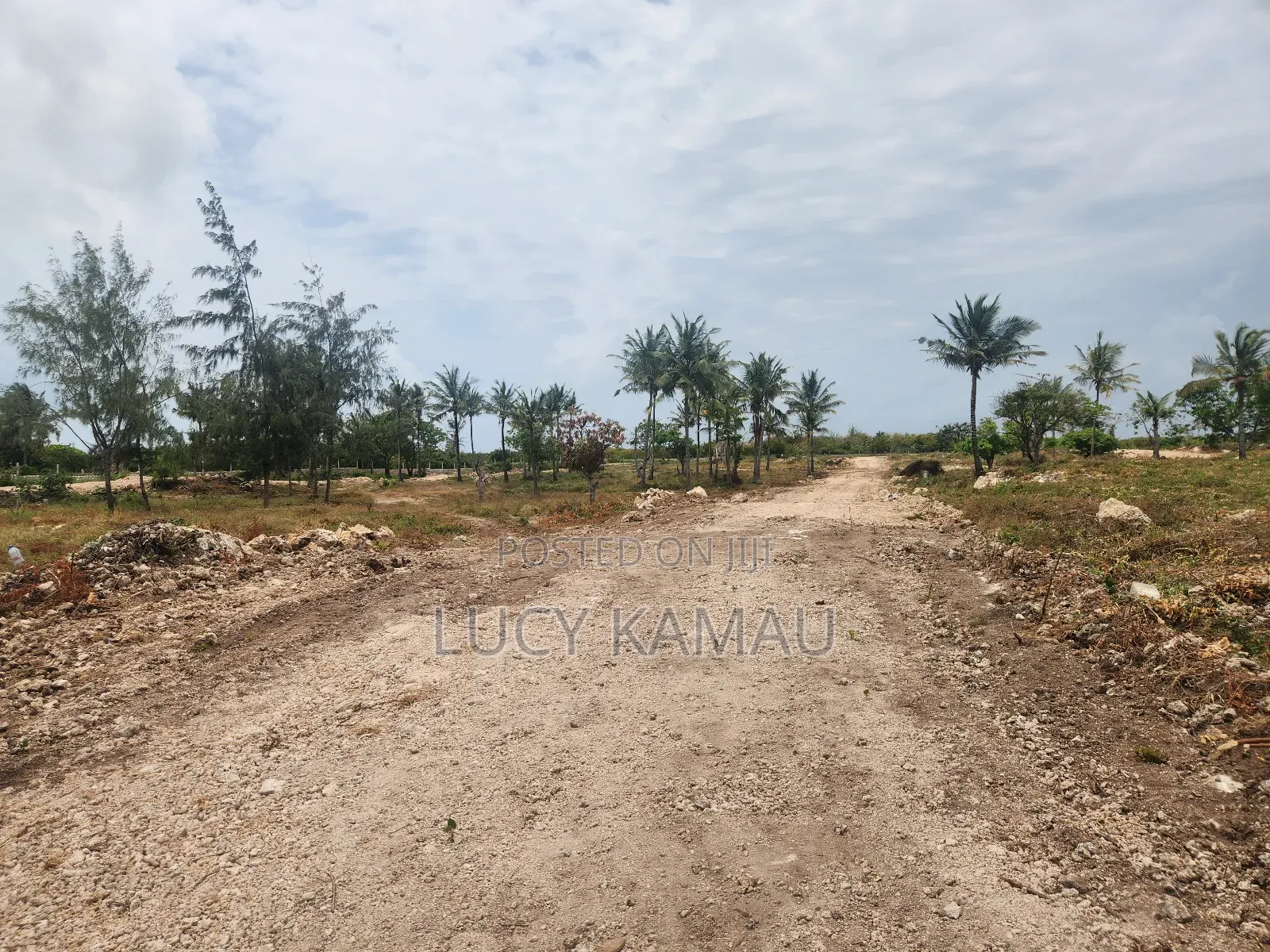 Prime 1⁄8th Acre 3rd Row Beach Plots in Watamu