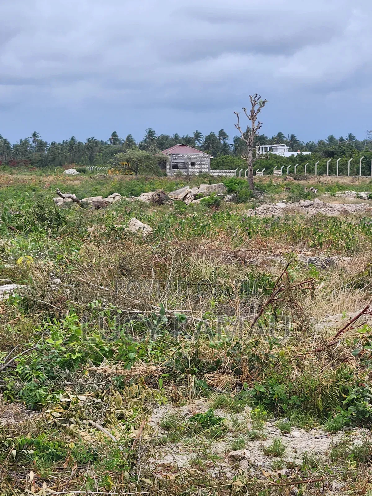 Prime 1⁄8th Acre 3rd Row Beach Plots in Watamu