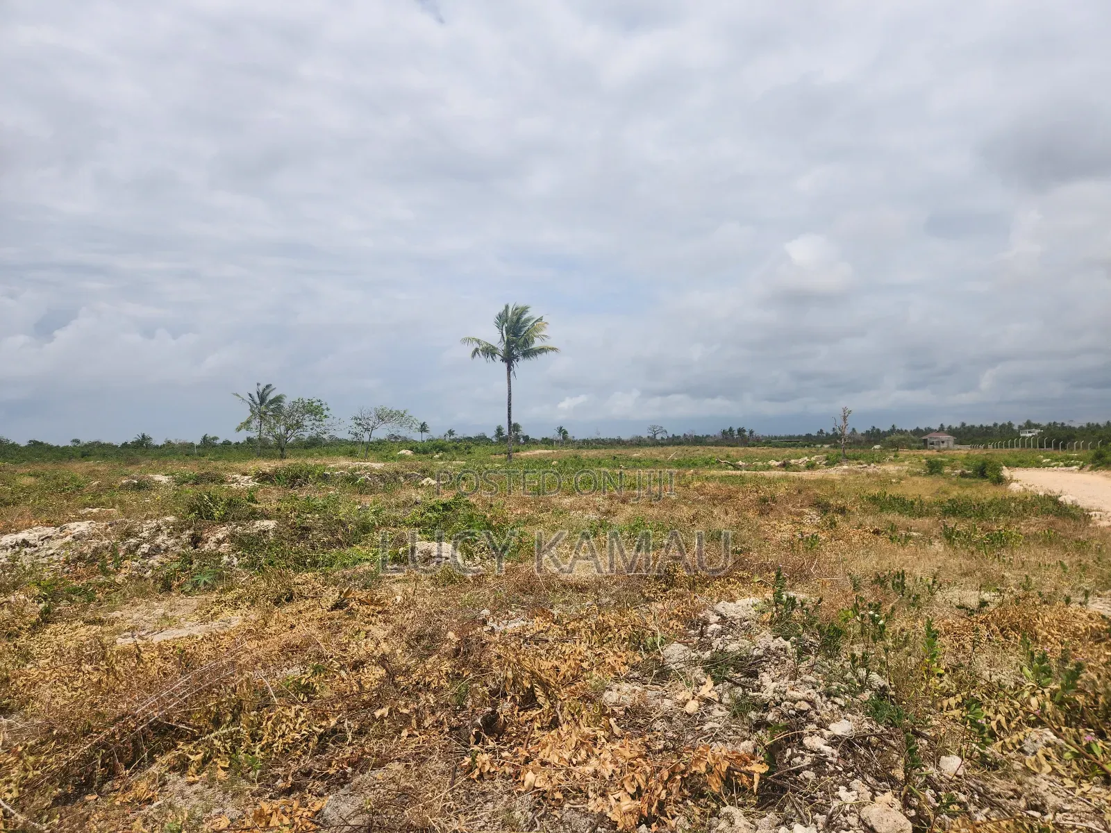 Prime 1⁄8th Acre 3rd Row Beach Plots in Watamu