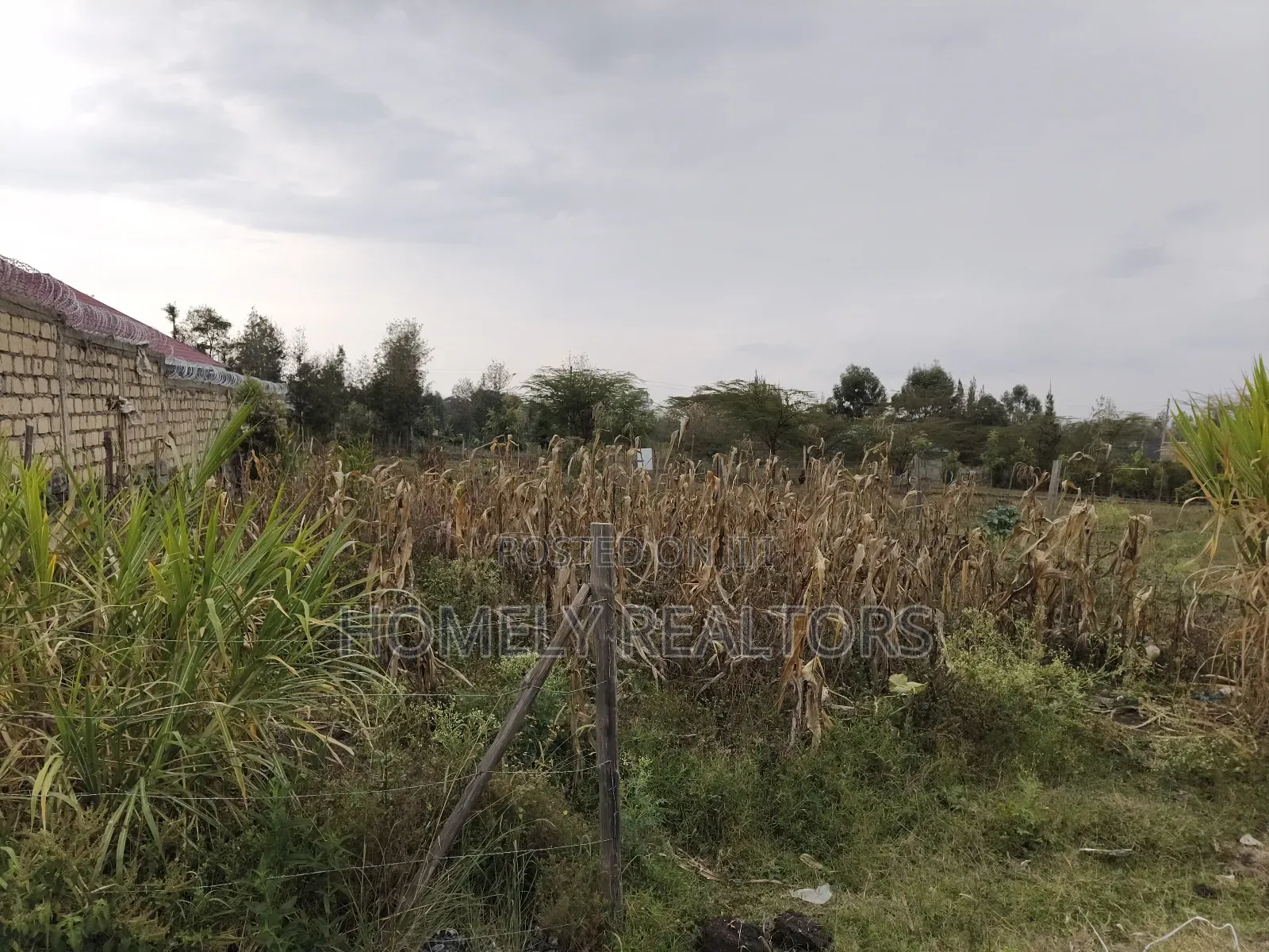 Eighth Acre Plot on Sale in Ngong, Matasia 100 Meters From Tarmac