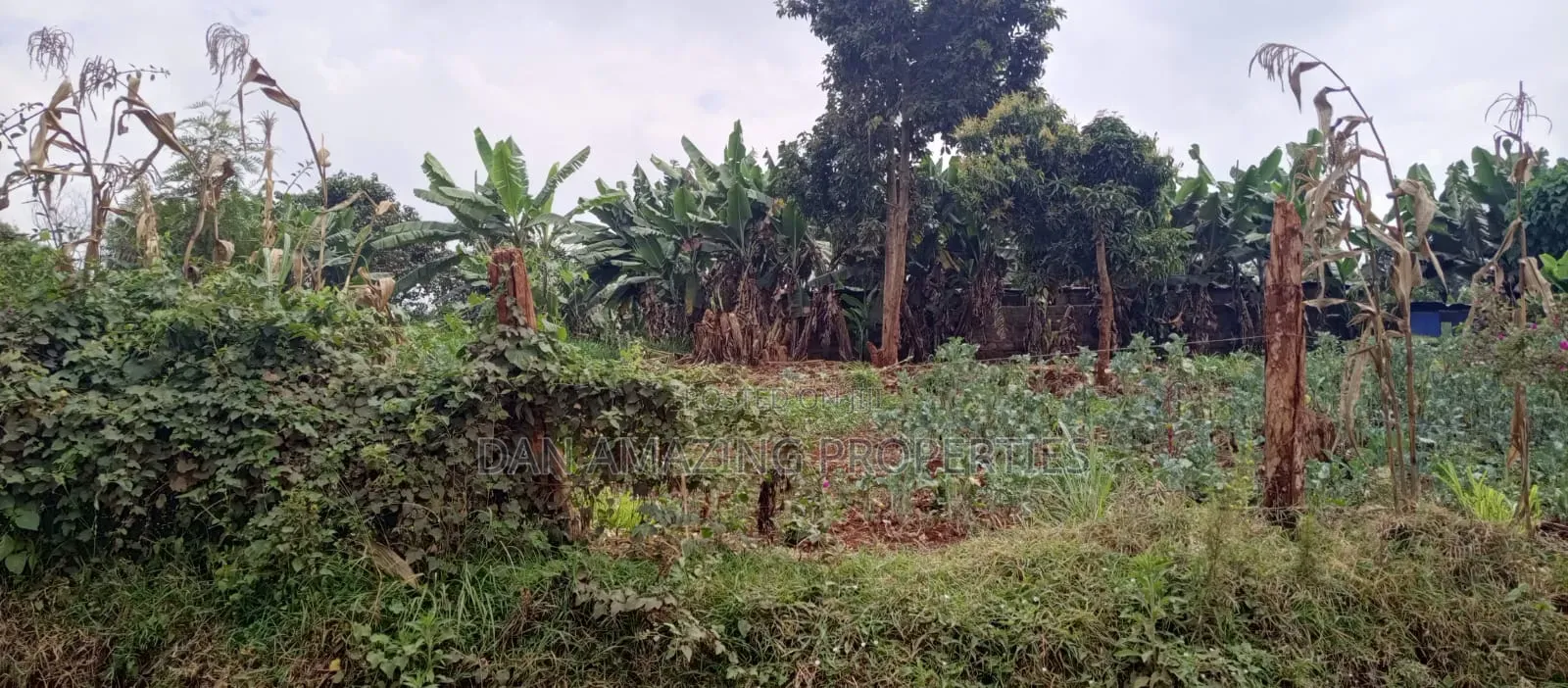 1.2 Acres in Lower Kabete for Sale Ideal for Residential Apartments