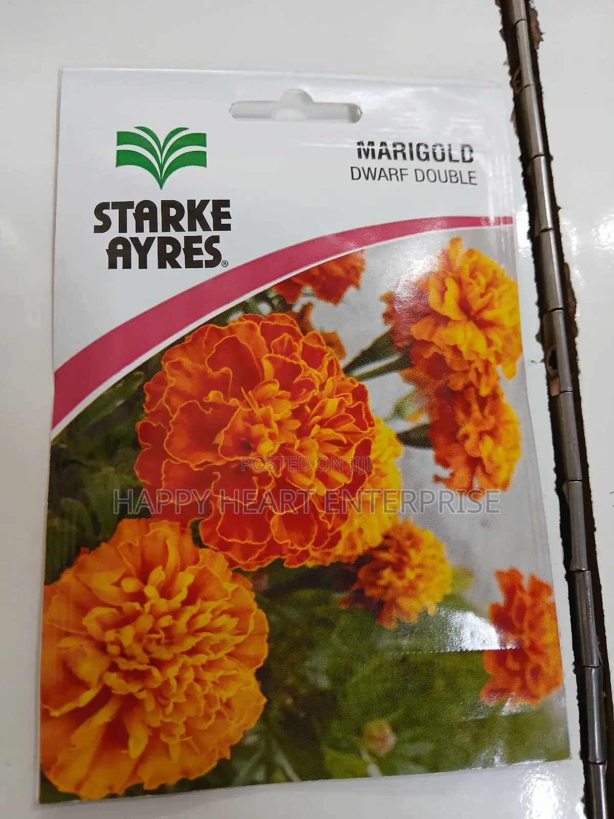 Marigold Dwarf Double Flower Seed