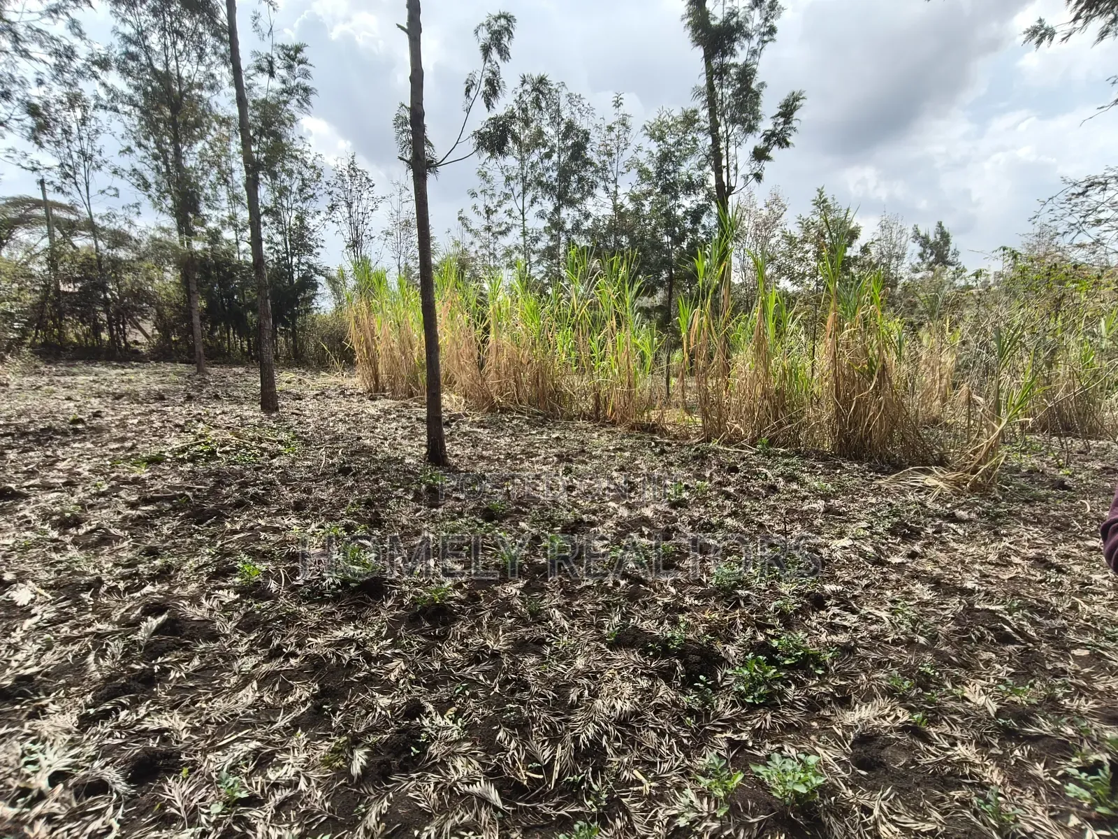 Quarter Acre Plot for Sale in Ngong, Matasia Merisho Naer Tarmac