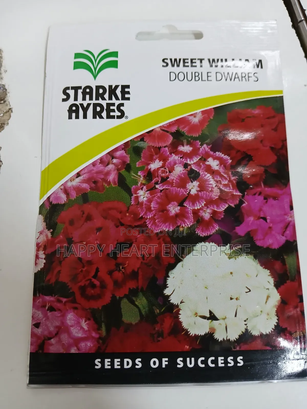 Sweet William Double Dwarfs 1g