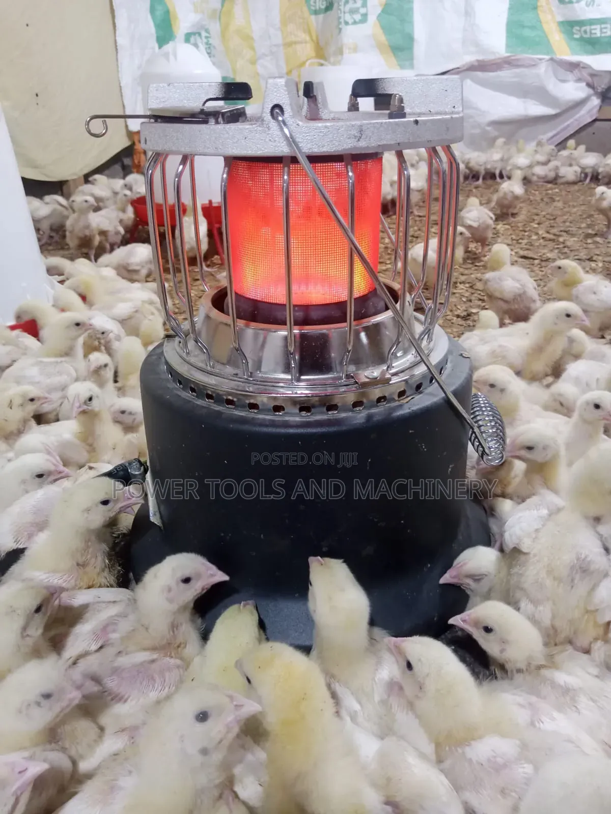 Ampia Gas Brooder