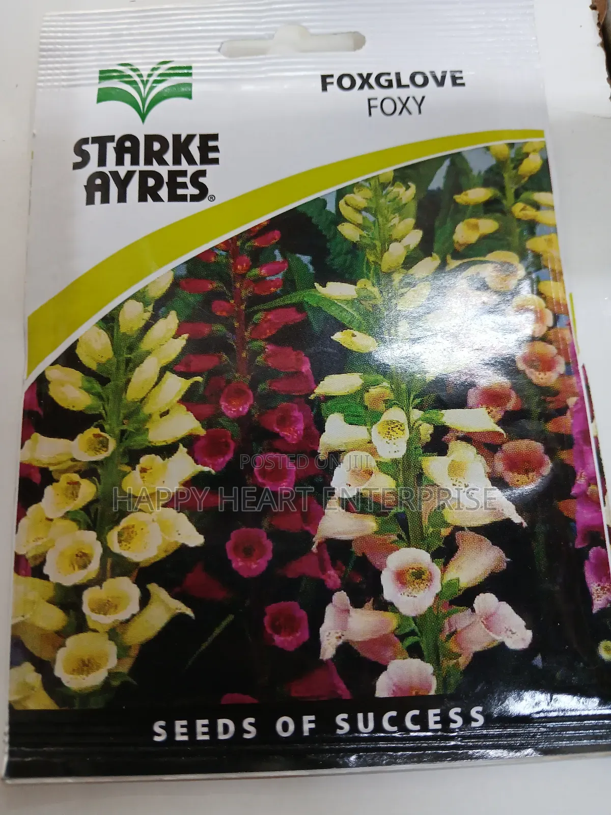 Foxglove Foxy Flower Seed 1g