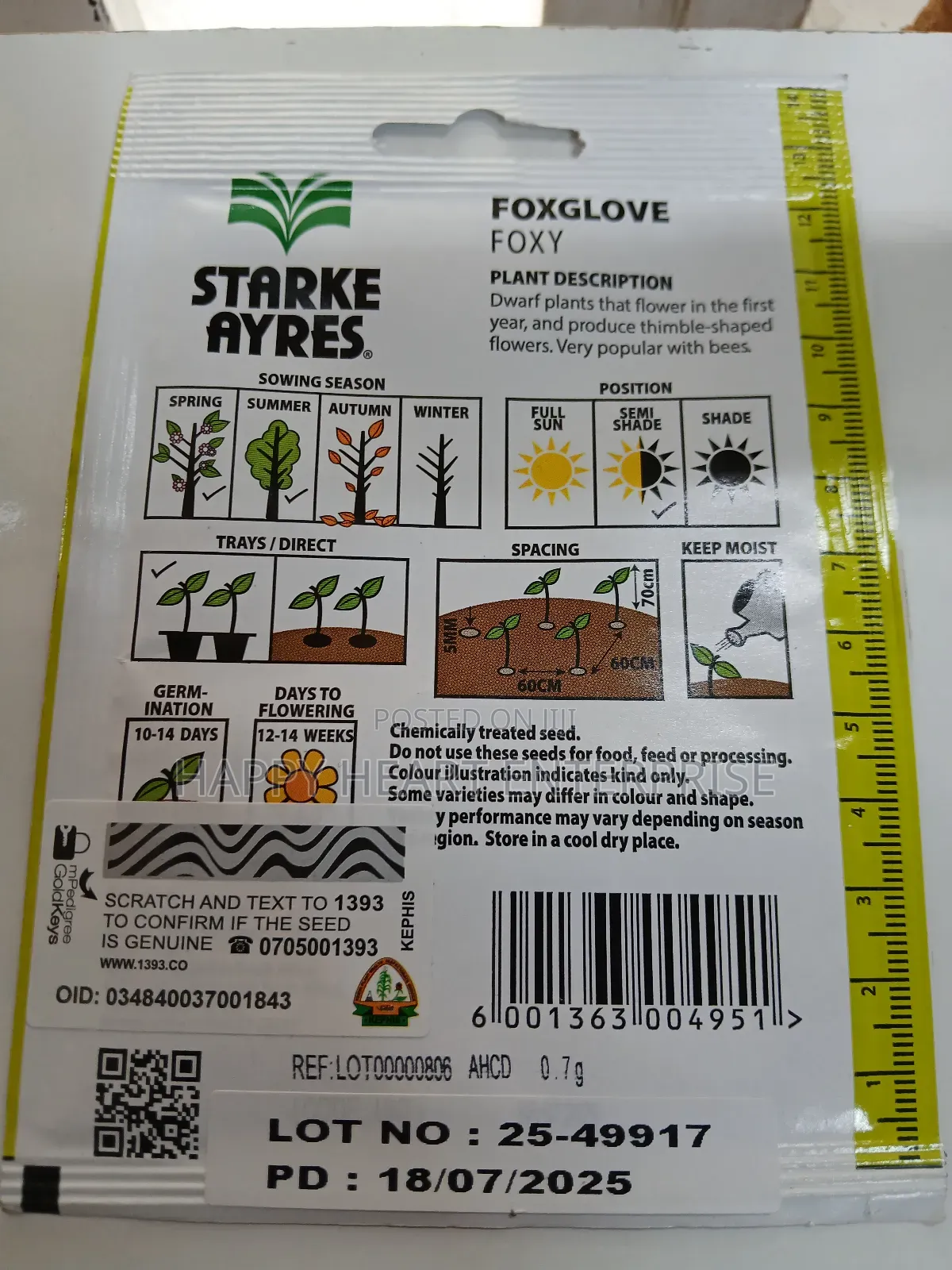 Foxglove Foxy Flower Seed 1g