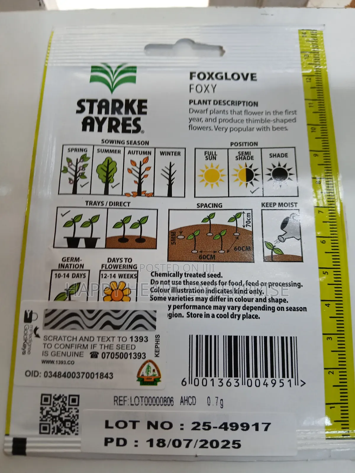 Foxglove Foxy Flower Seed 1g