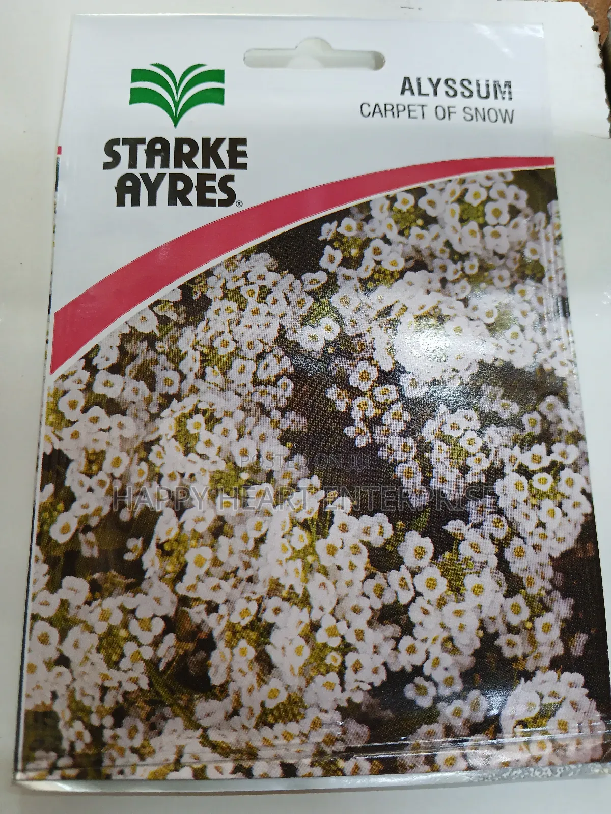 Carpet Of Snow Alyssum Flower 1g